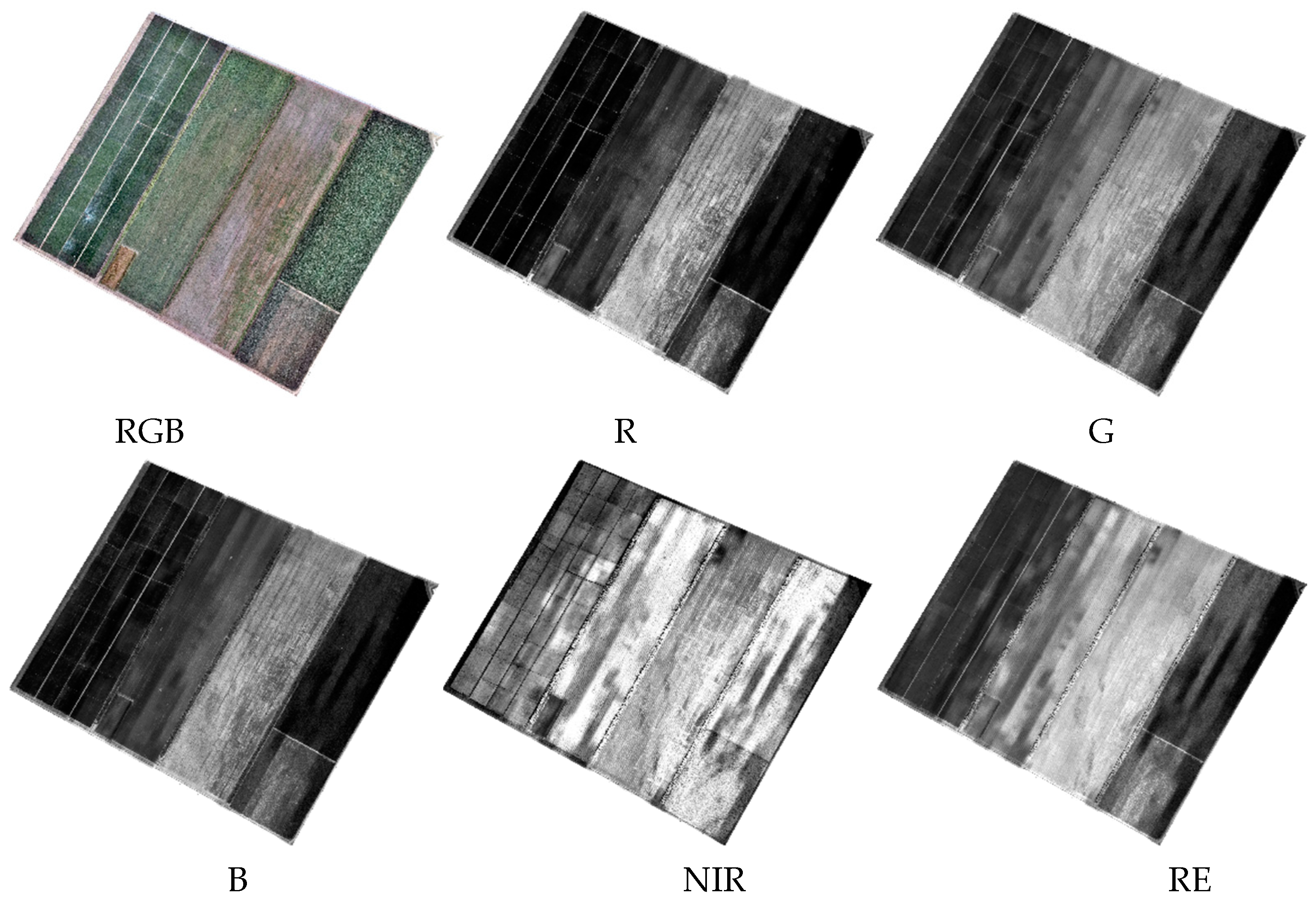 Agronomy 14 02670 g003