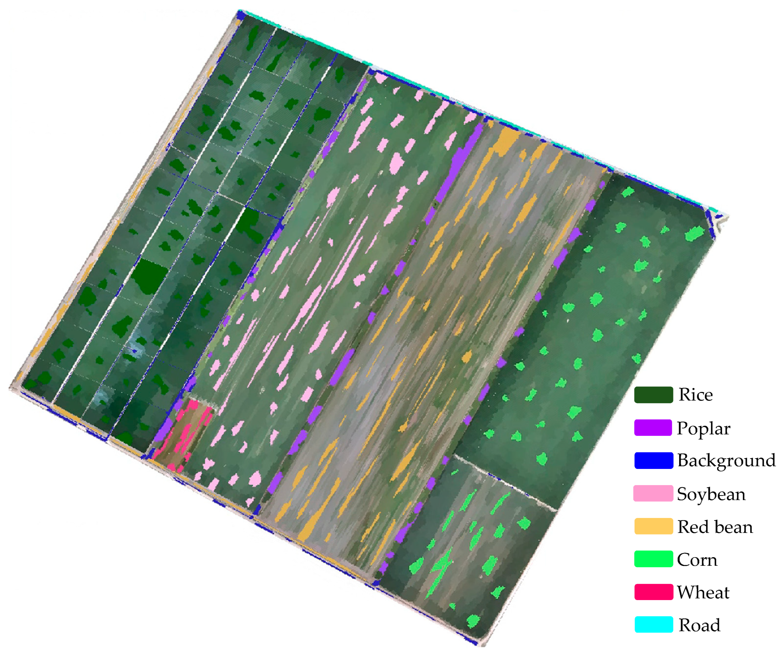 Agronomy 14 02670 g005