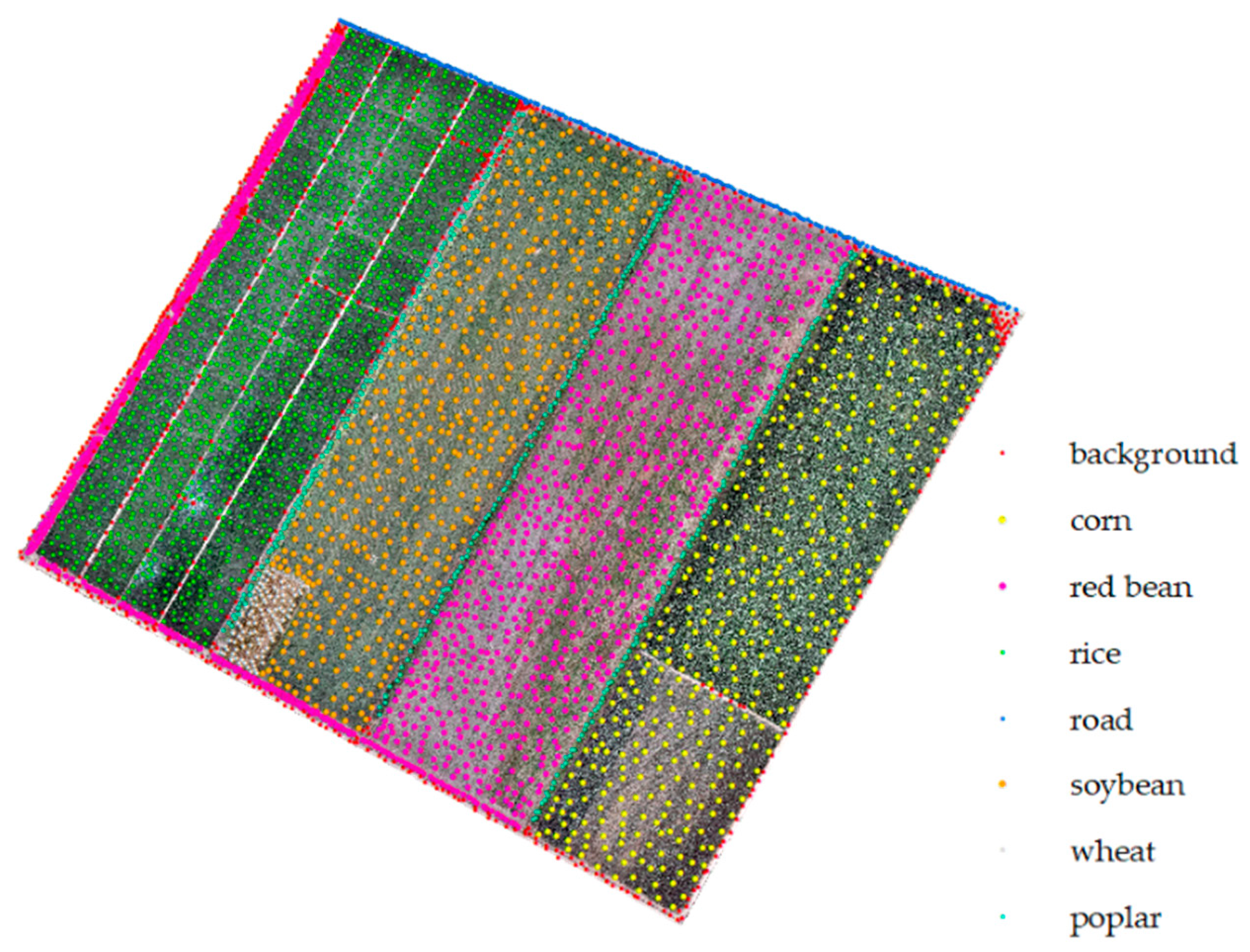 Agronomy 14 02670 g006