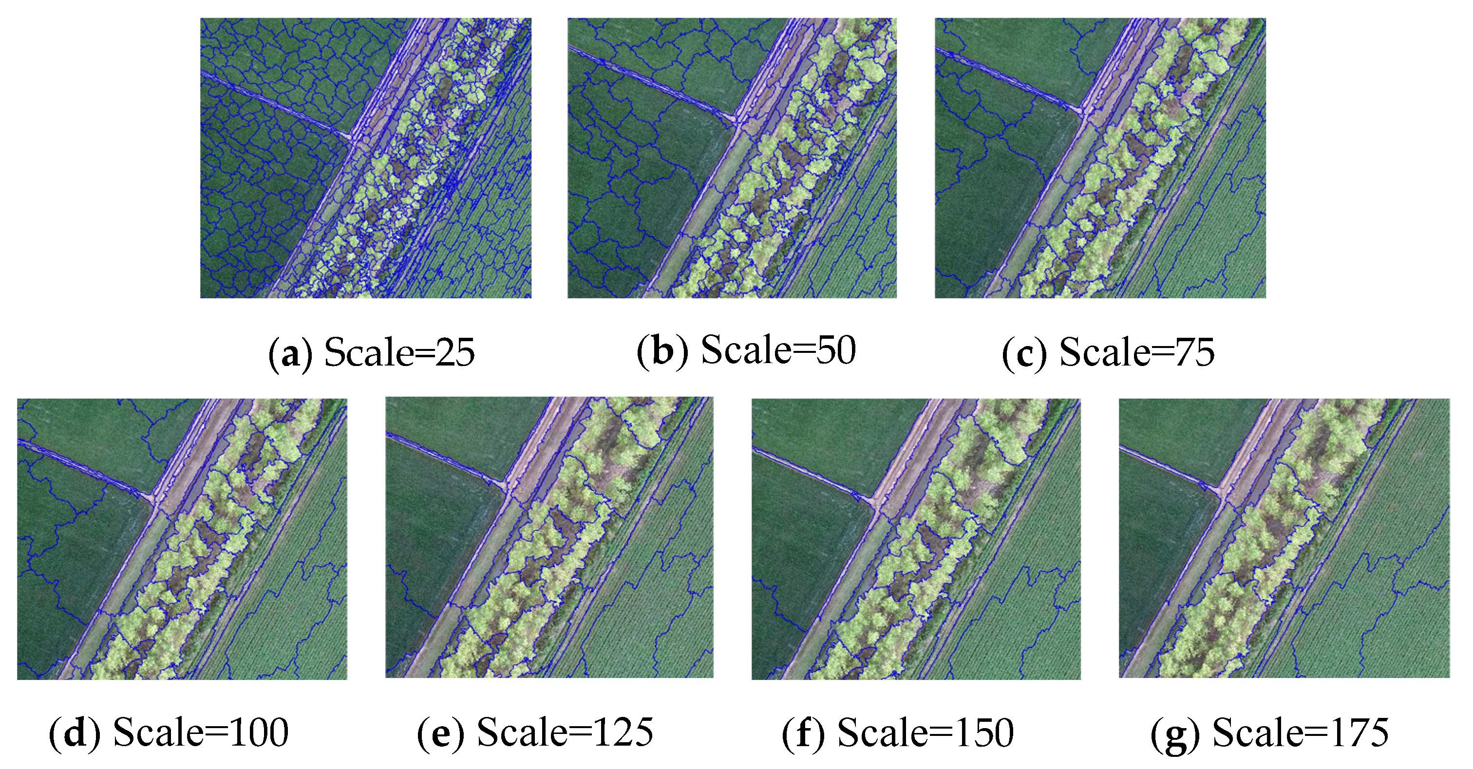 Agronomy 14 02670 g007