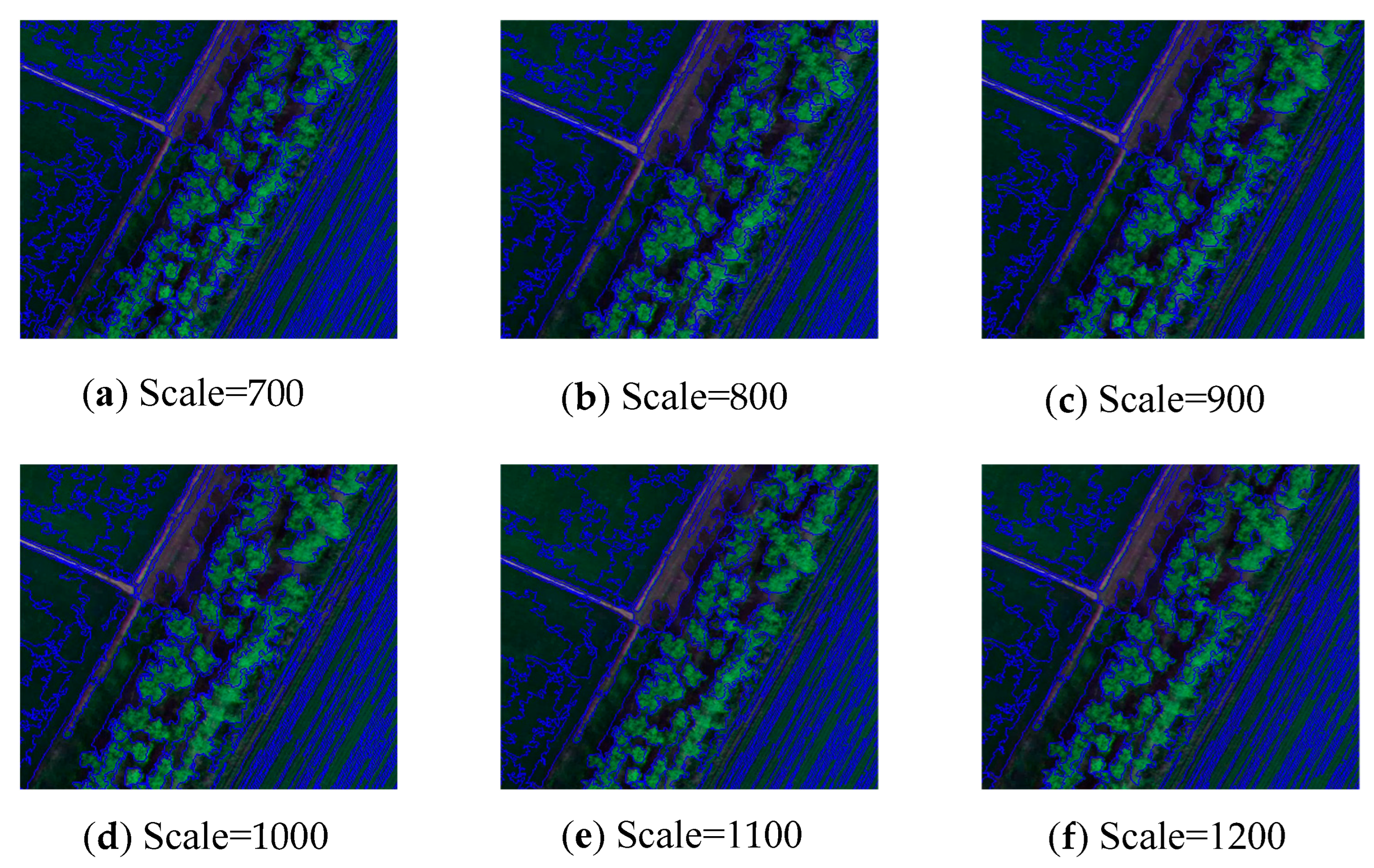 Agronomy 14 02670 g008