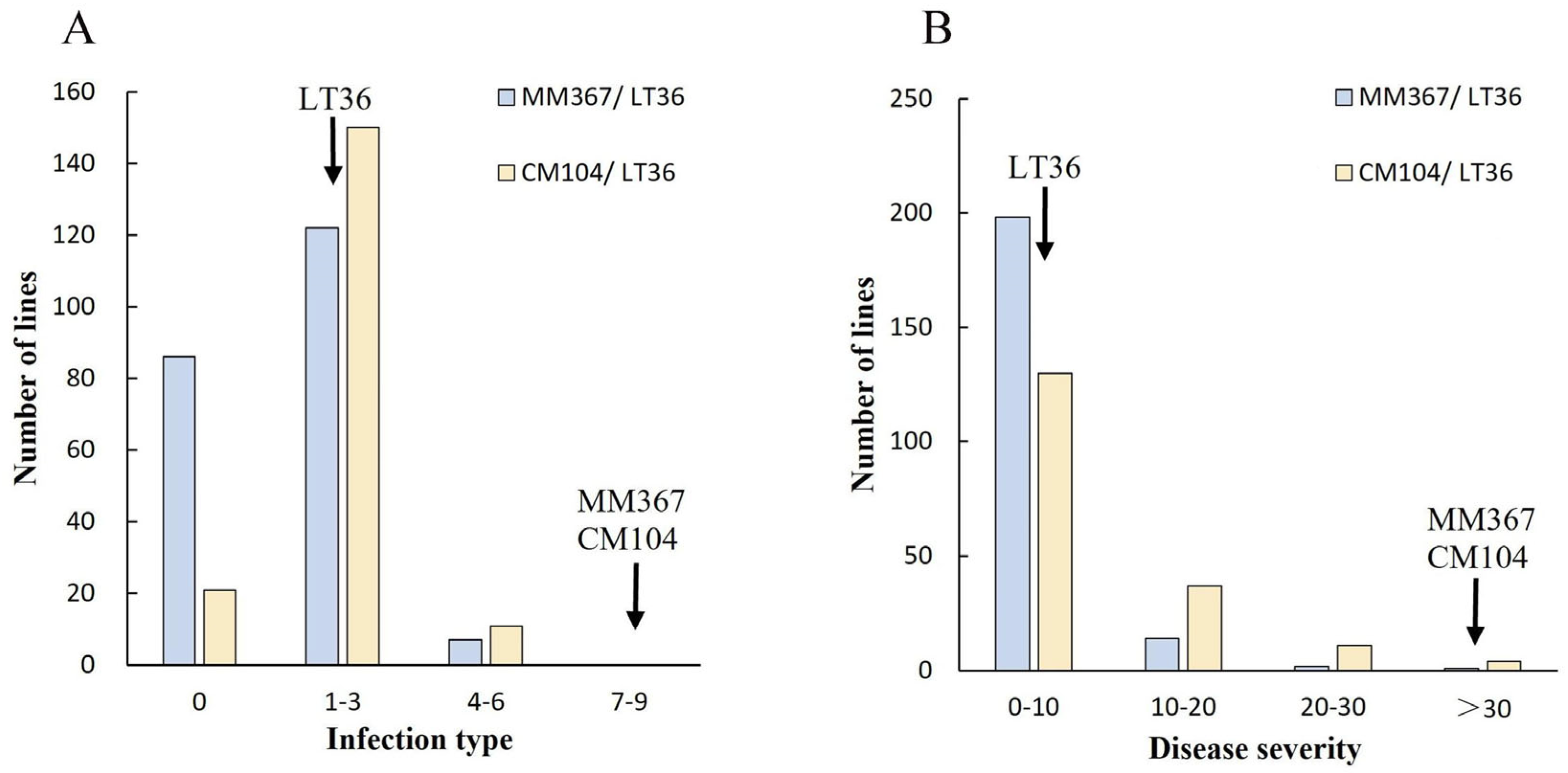 Agronomy 14 02672 g003