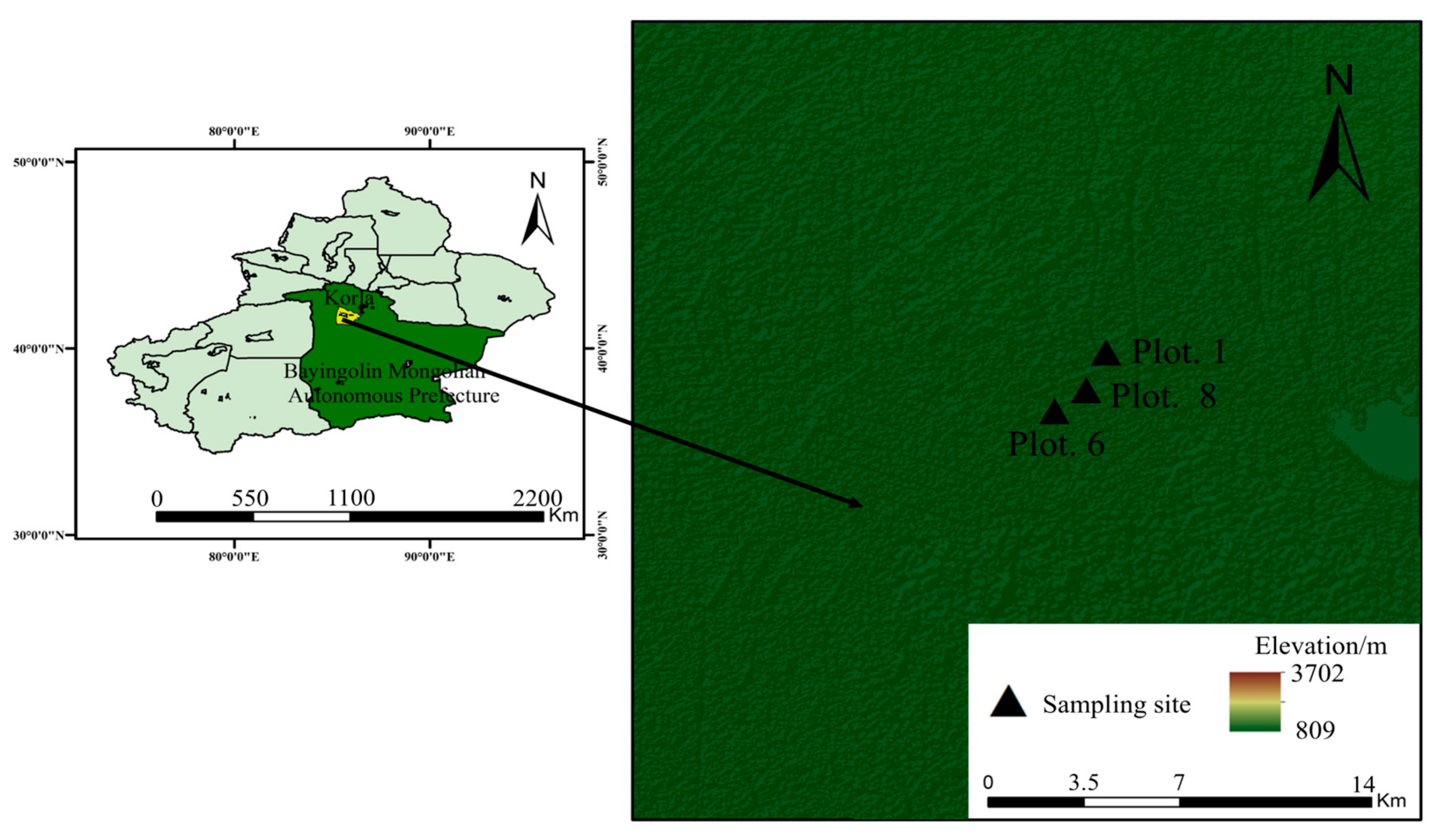 Agronomy 14 02673 g001