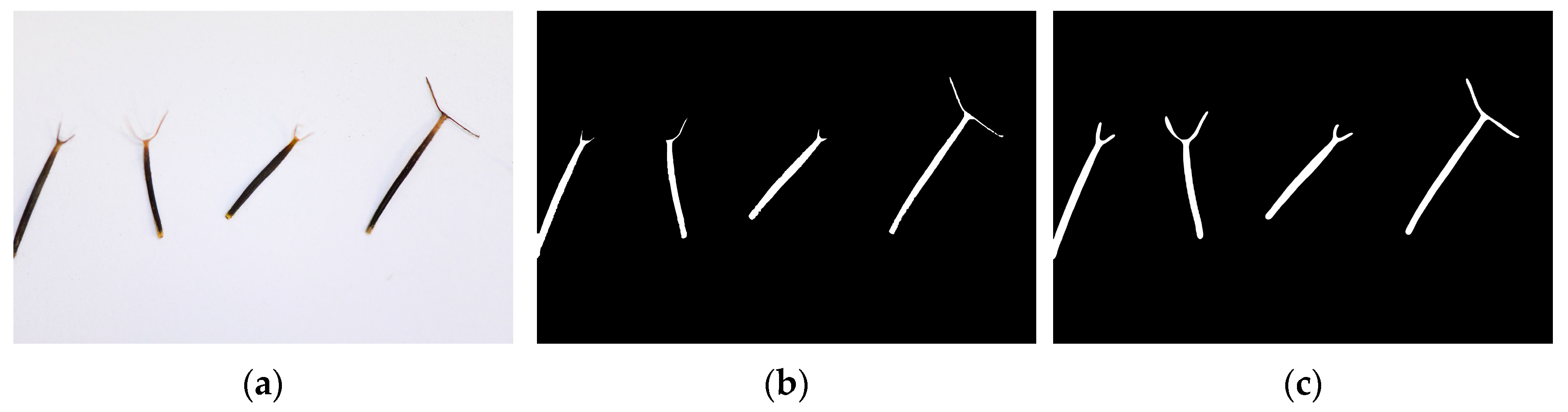 Agronomy 14 02675 g002