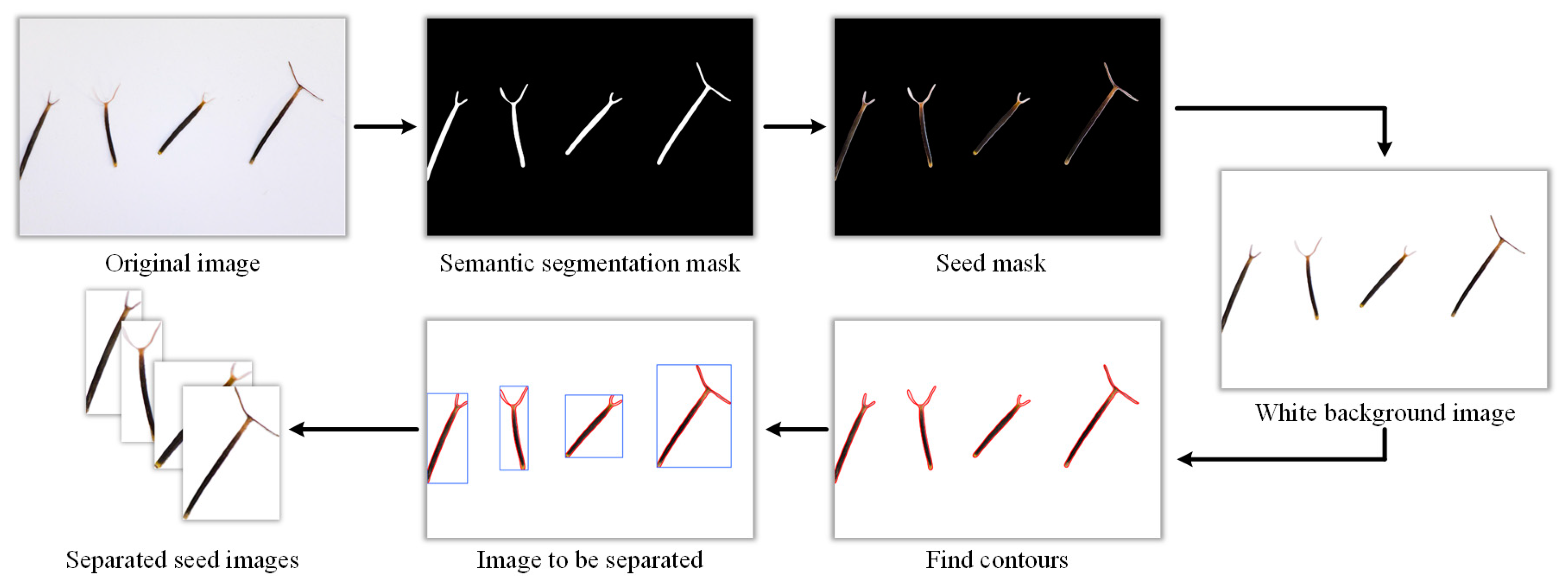 Agronomy 14 02675 g003