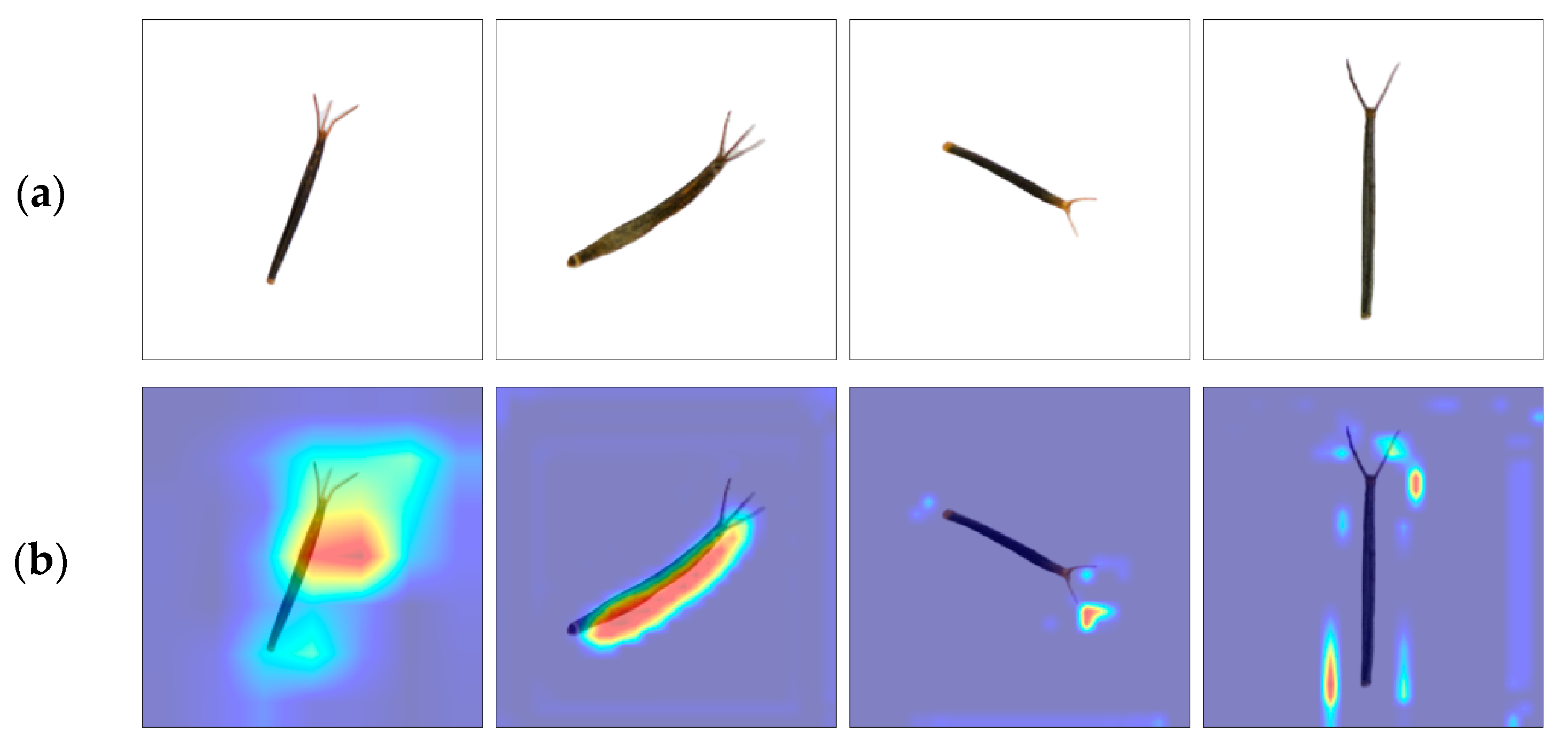 Agronomy 14 02675 g007a