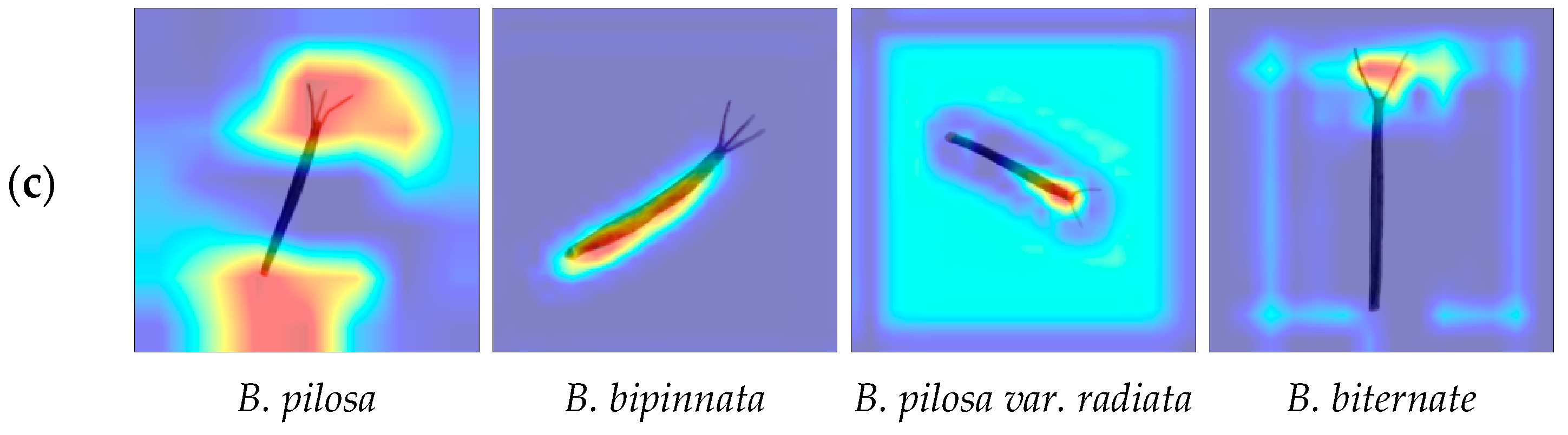 Agronomy 14 02675 g007b