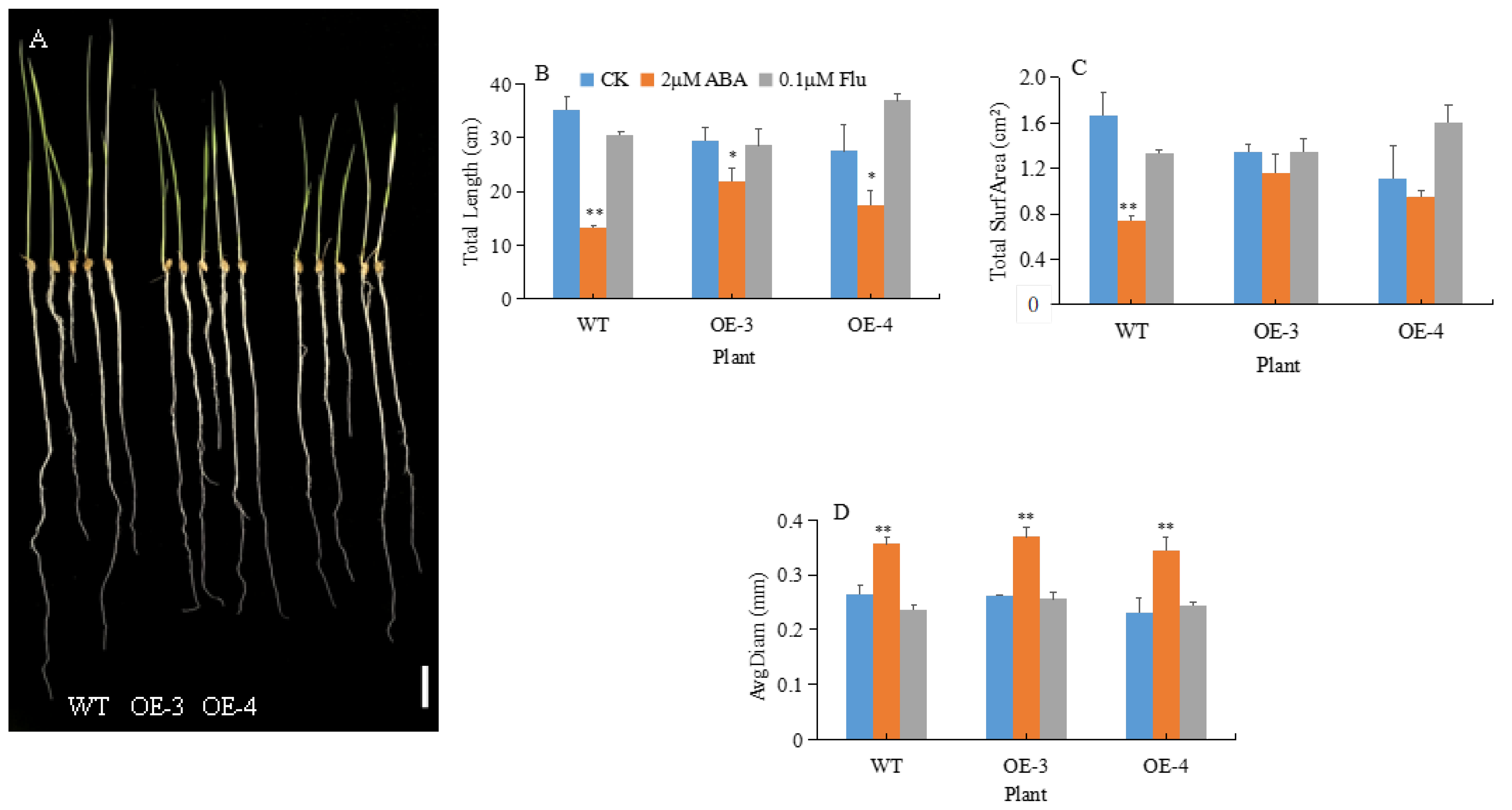Agronomy 14 02683 g001