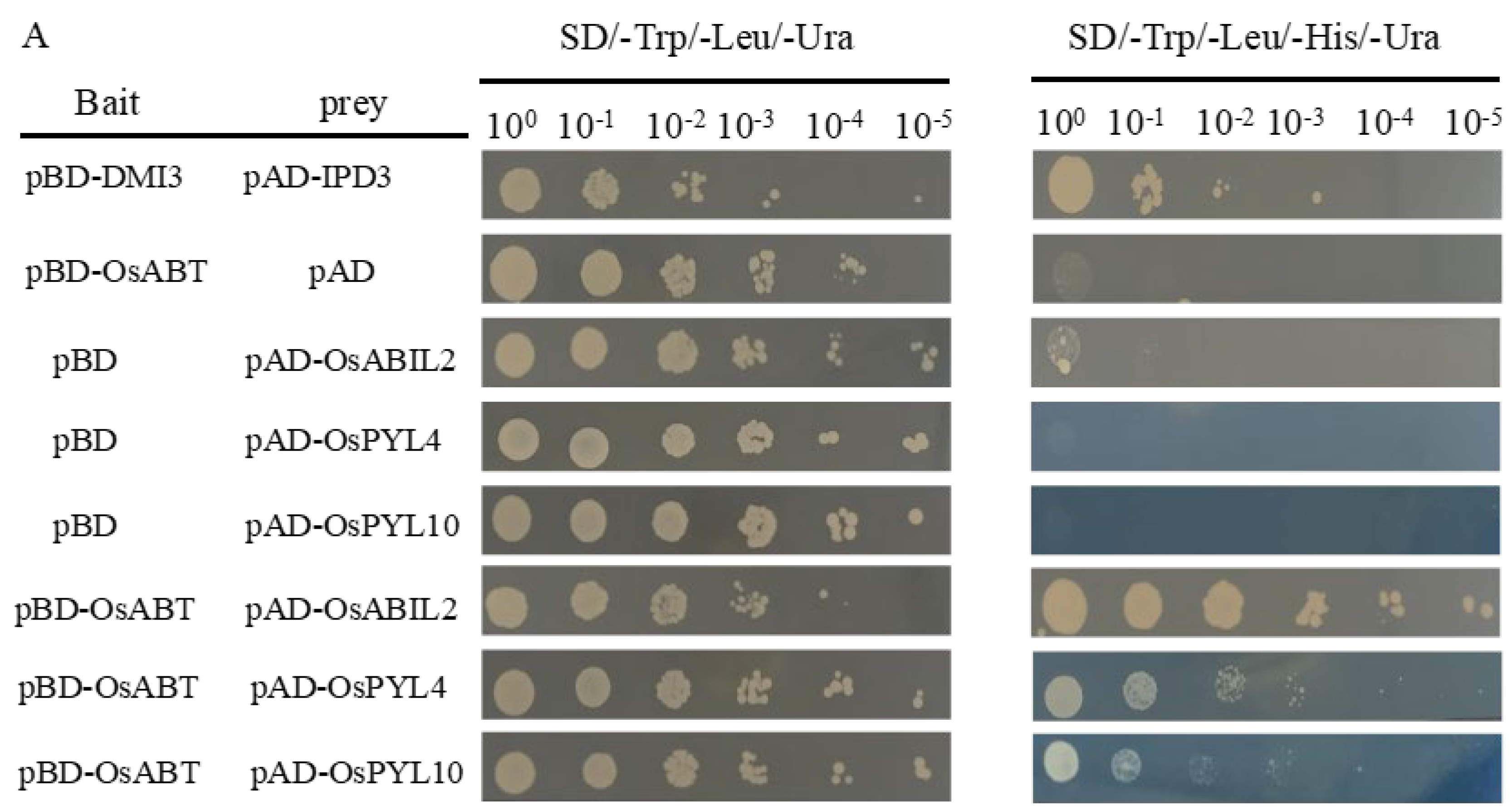 Agronomy 14 02683 g007a