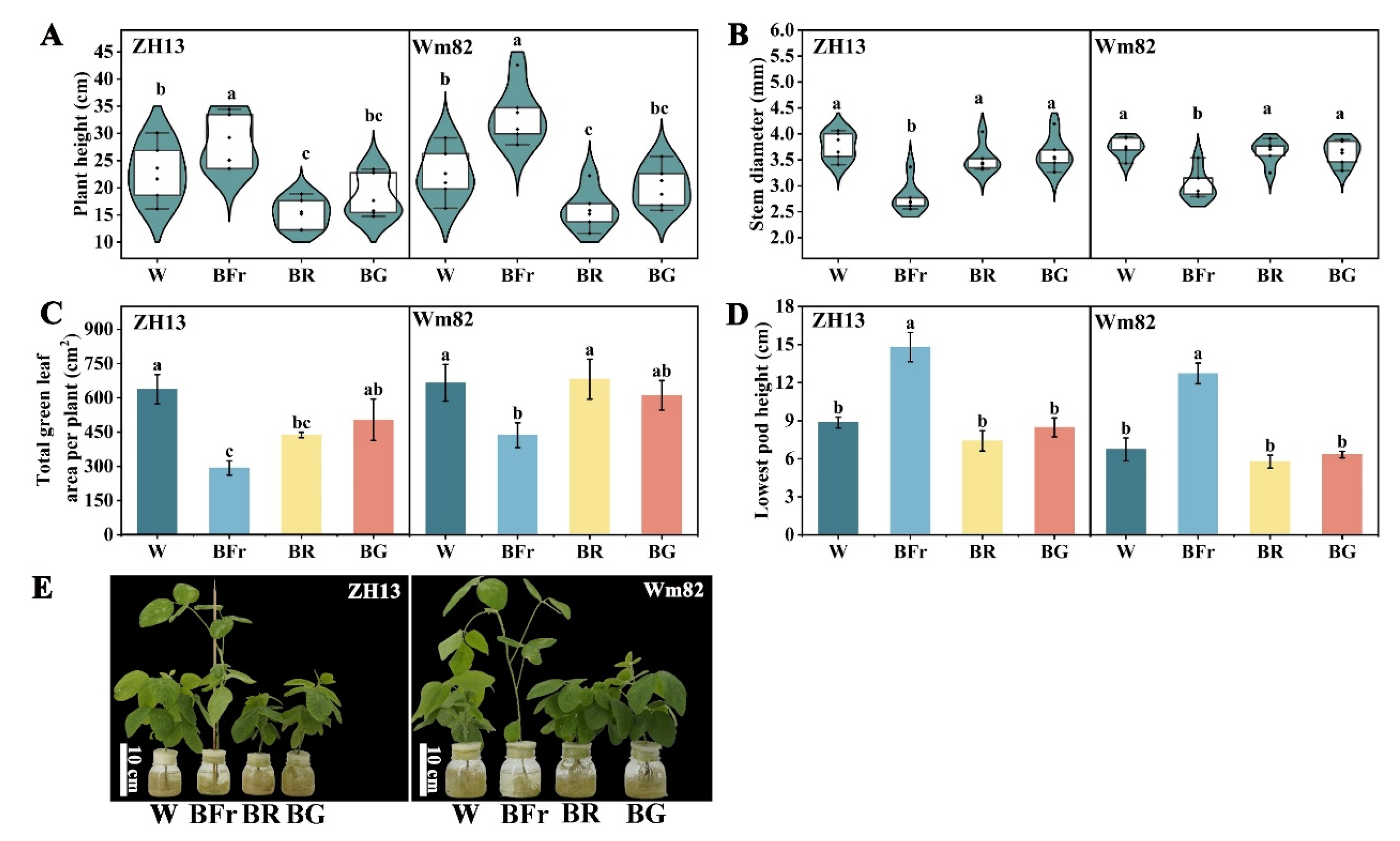 Agronomy 14 02684 g002
