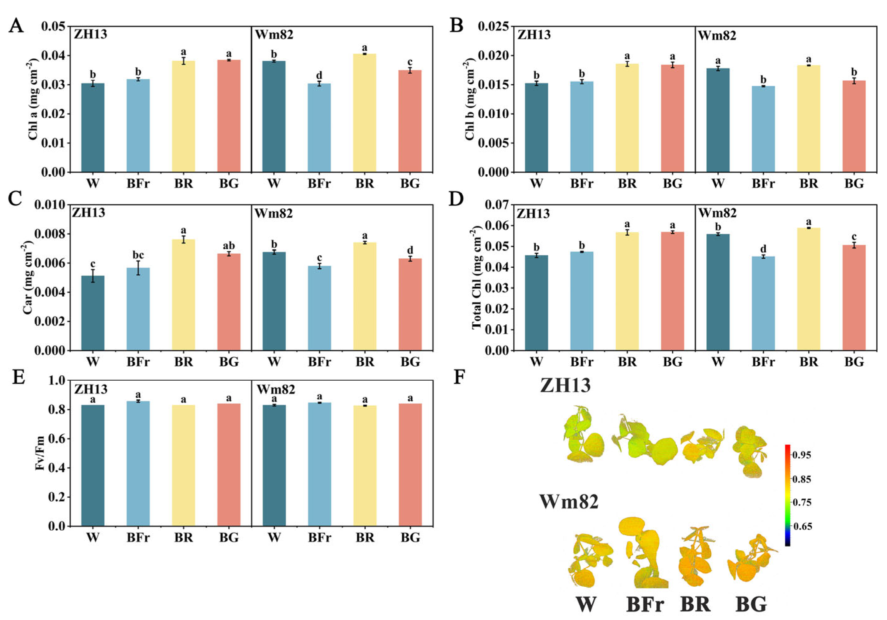Agronomy 14 02684 g007