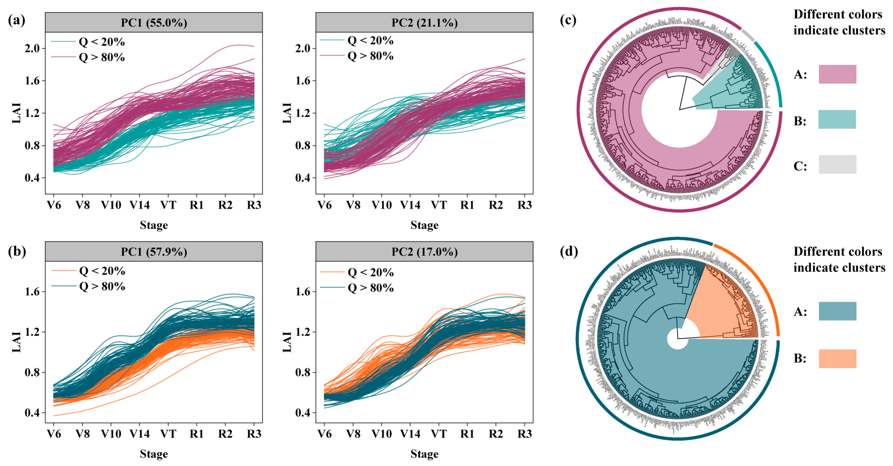 Agronomy 14 02688 g008