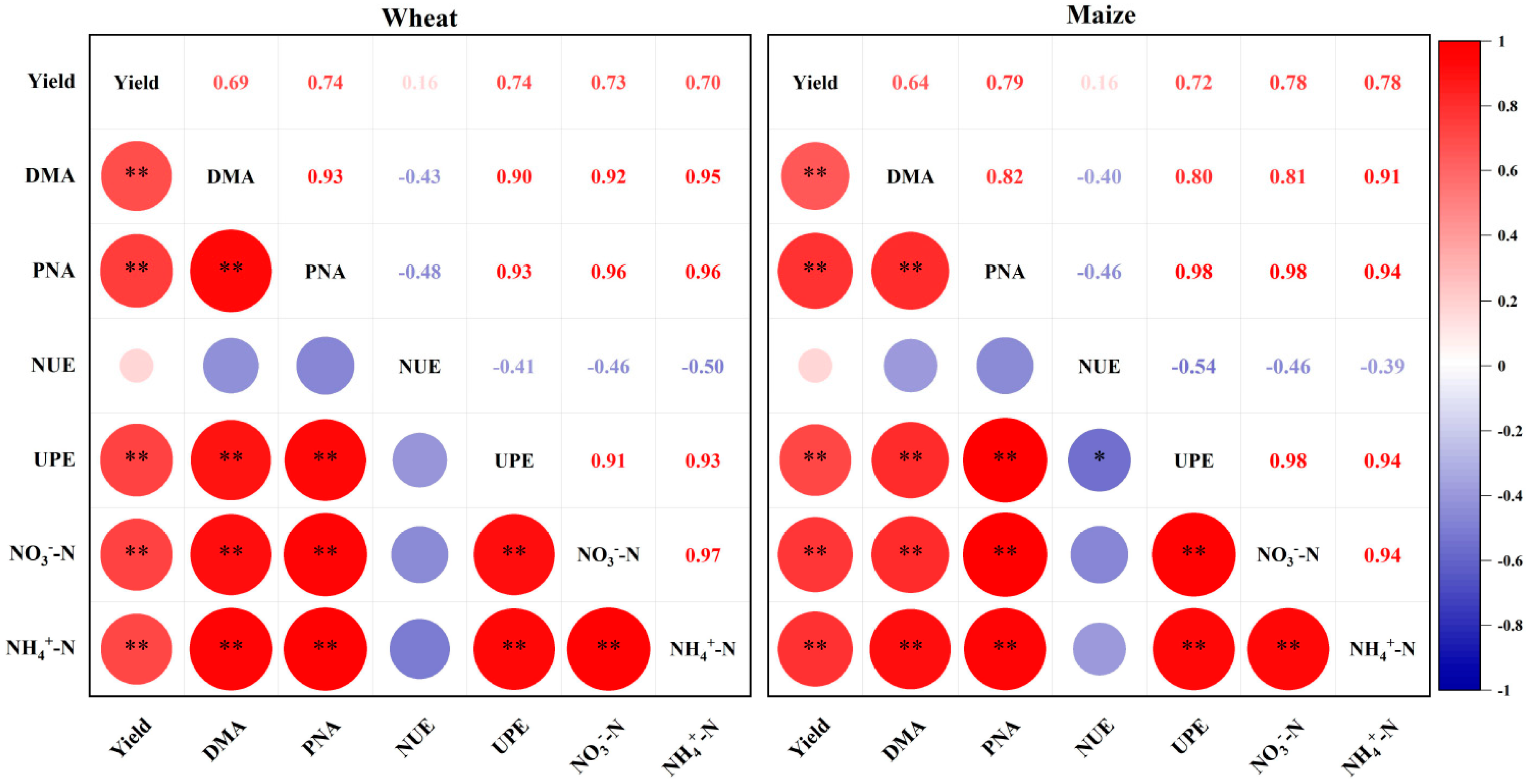 Agronomy 14 02690 g005