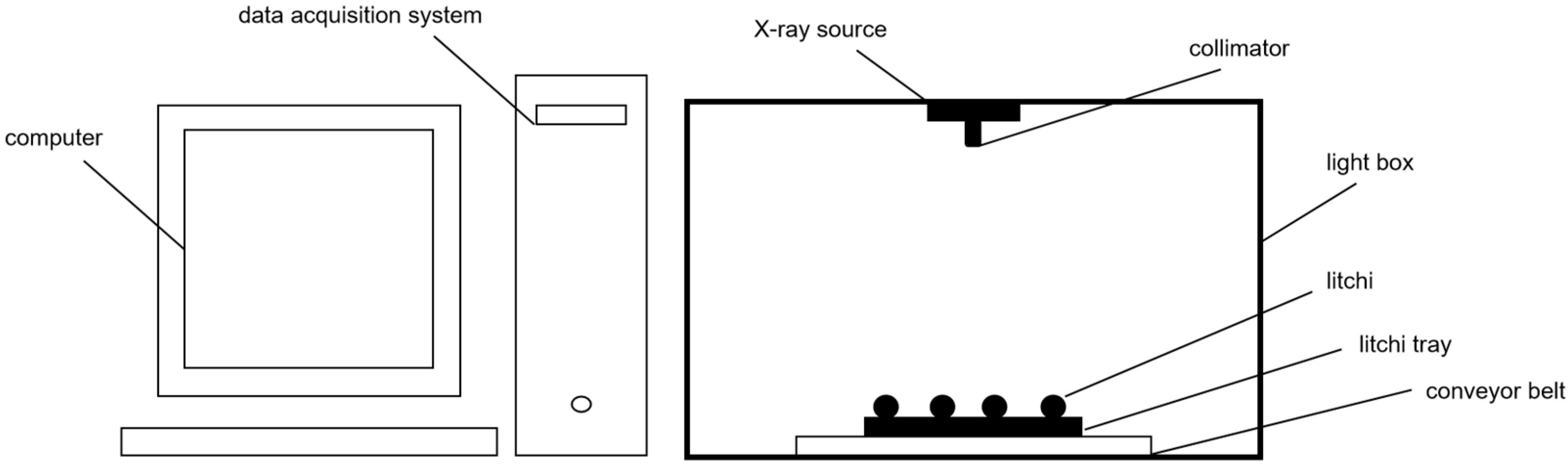 Agronomy 14 02691 g003