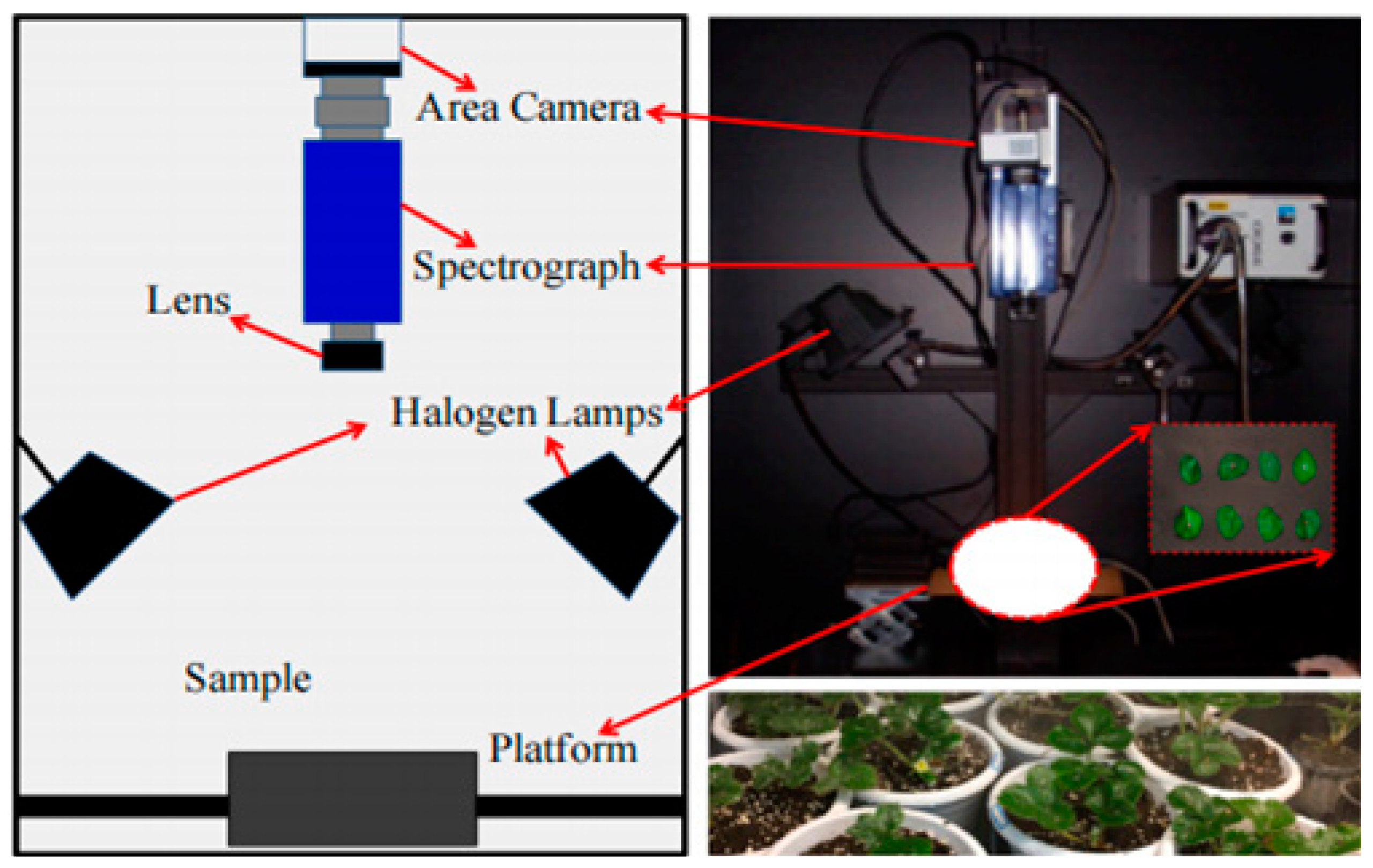 Agronomy 14 02694 g001