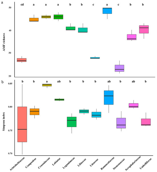 Dynamics of Arbuscular Mycorrhizal Fungi in the Rhizosphere