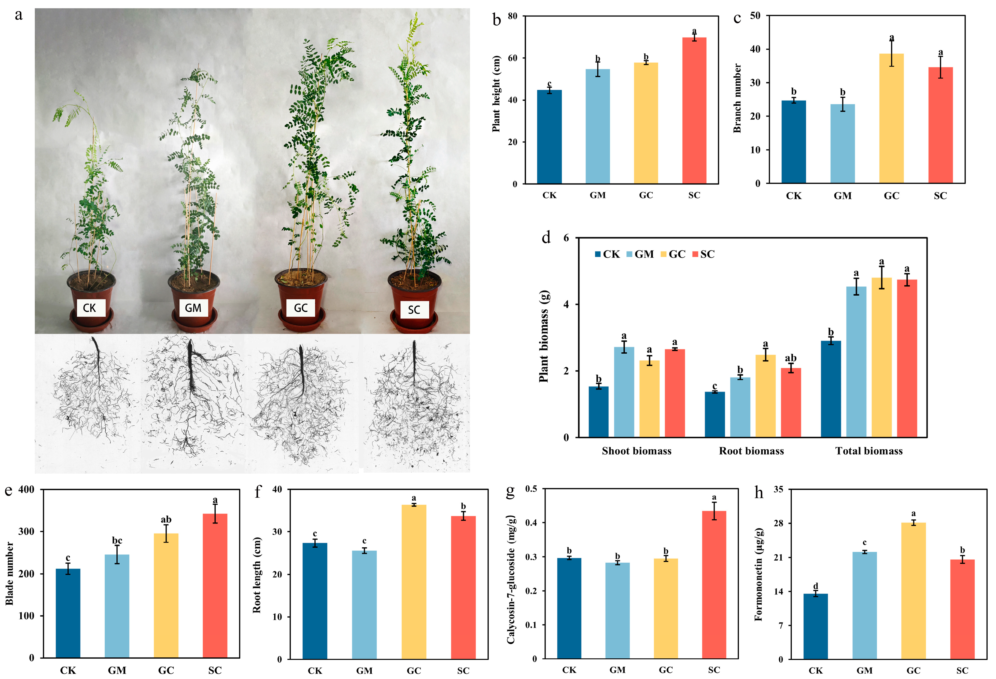 Agronomy 14 02695 g008
