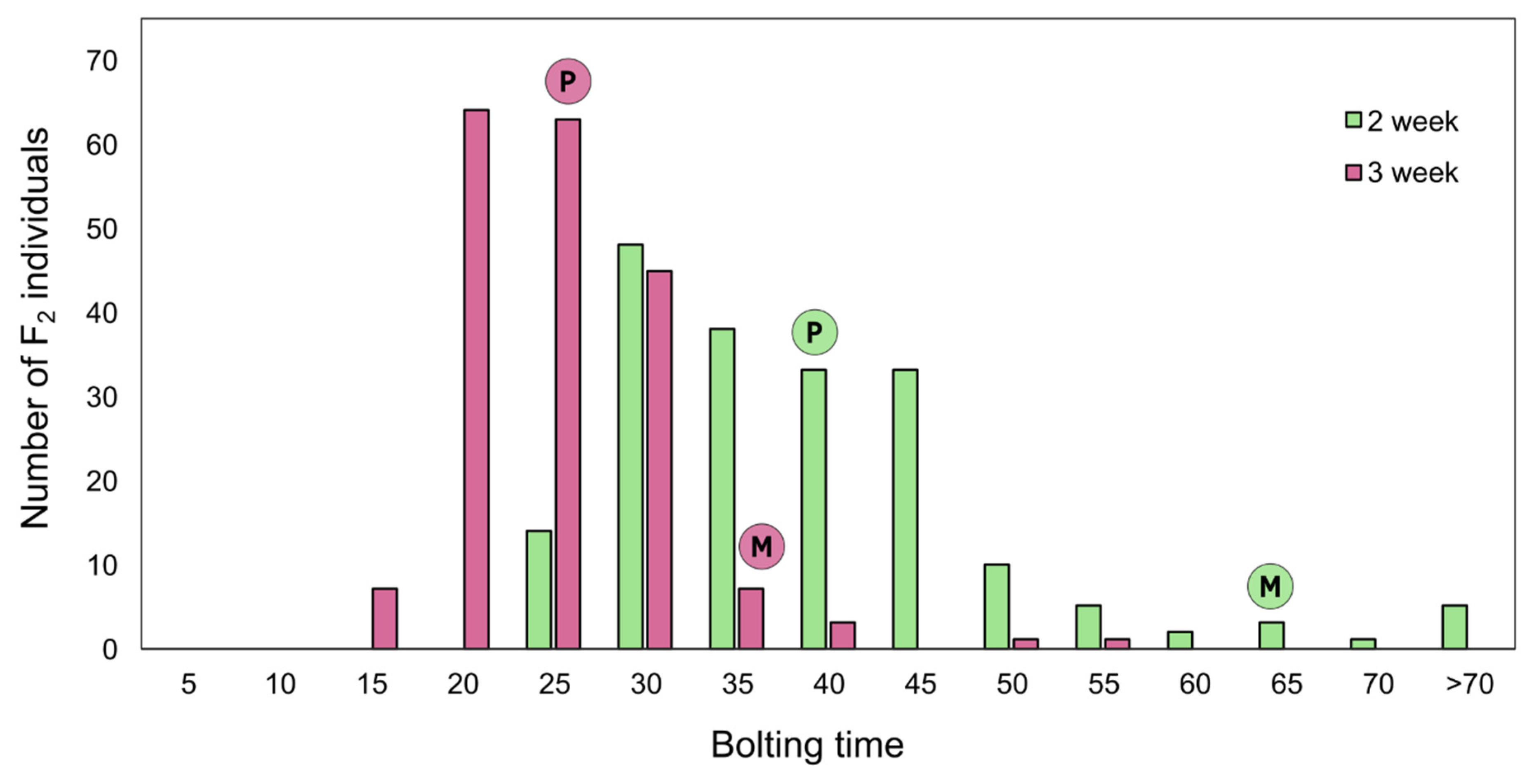 Agronomy 14 02700 g002