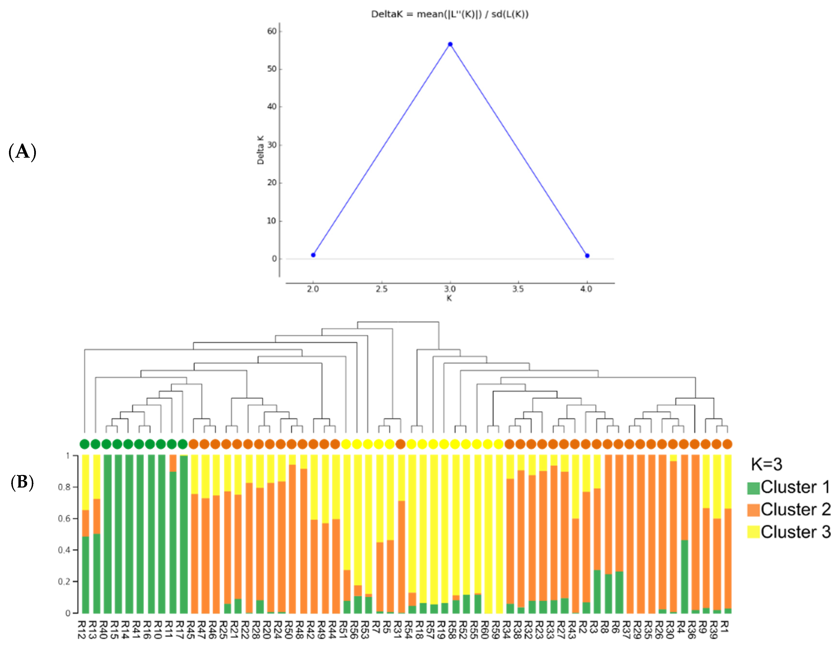 Agronomy 14 02700 g004