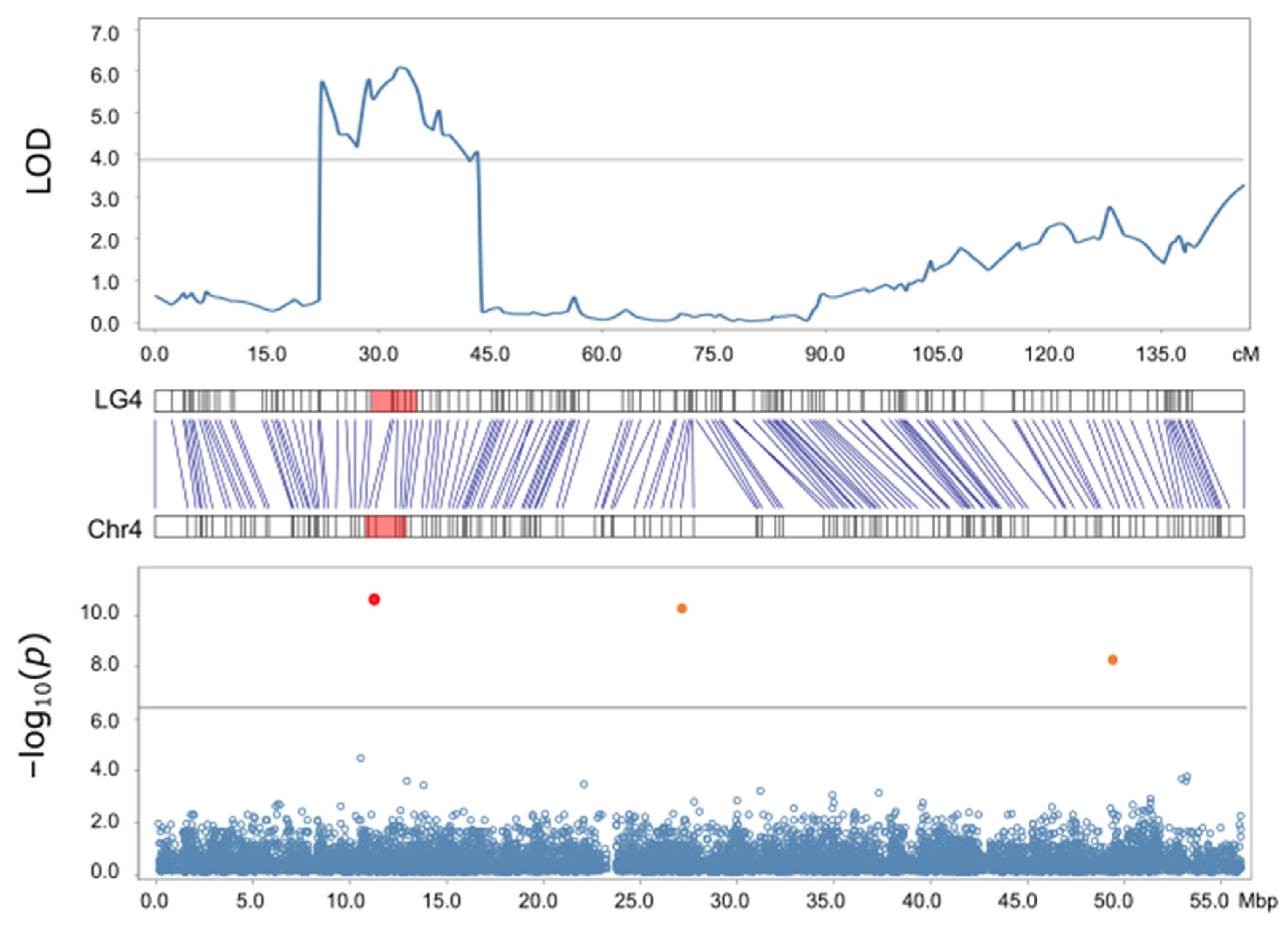 Agronomy 14 02700 g005