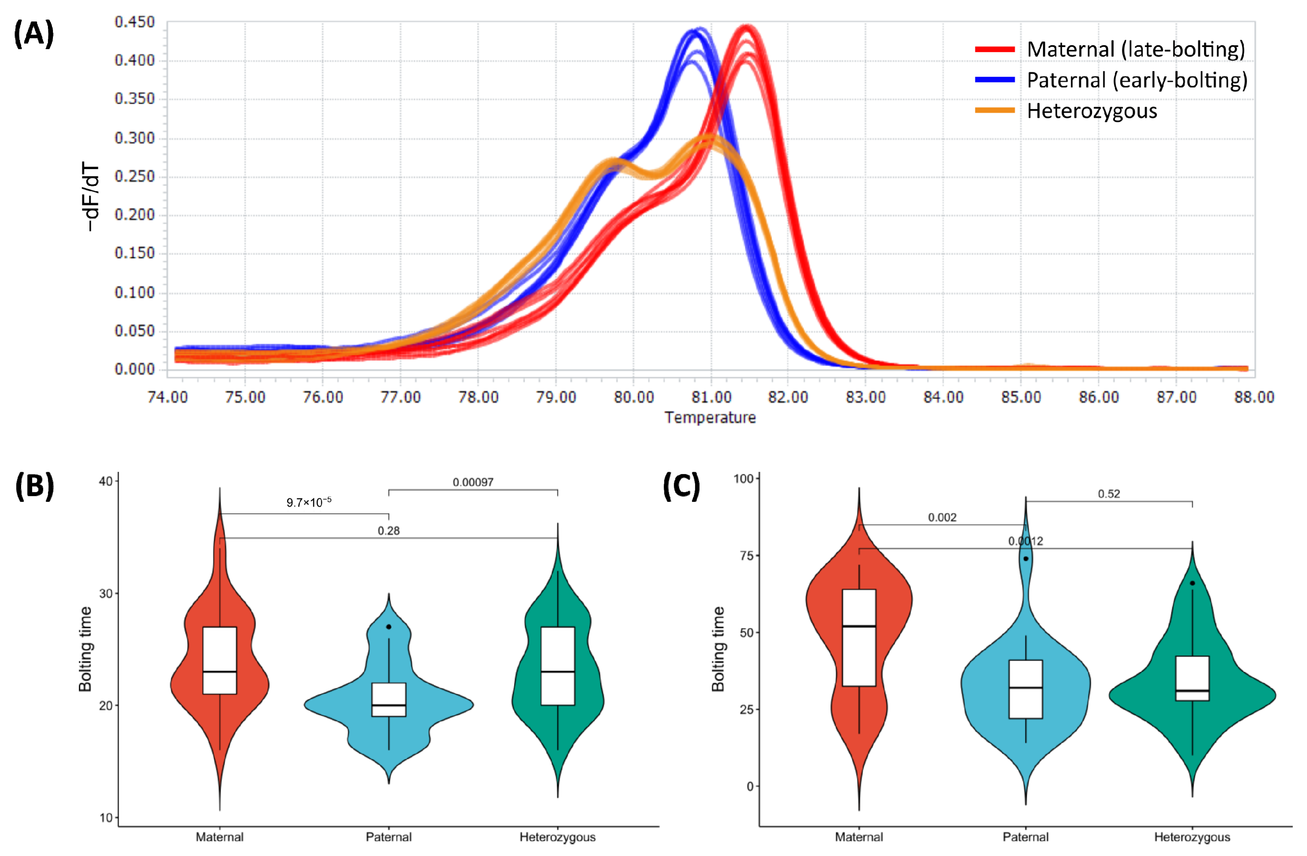 Agronomy 14 02700 g006