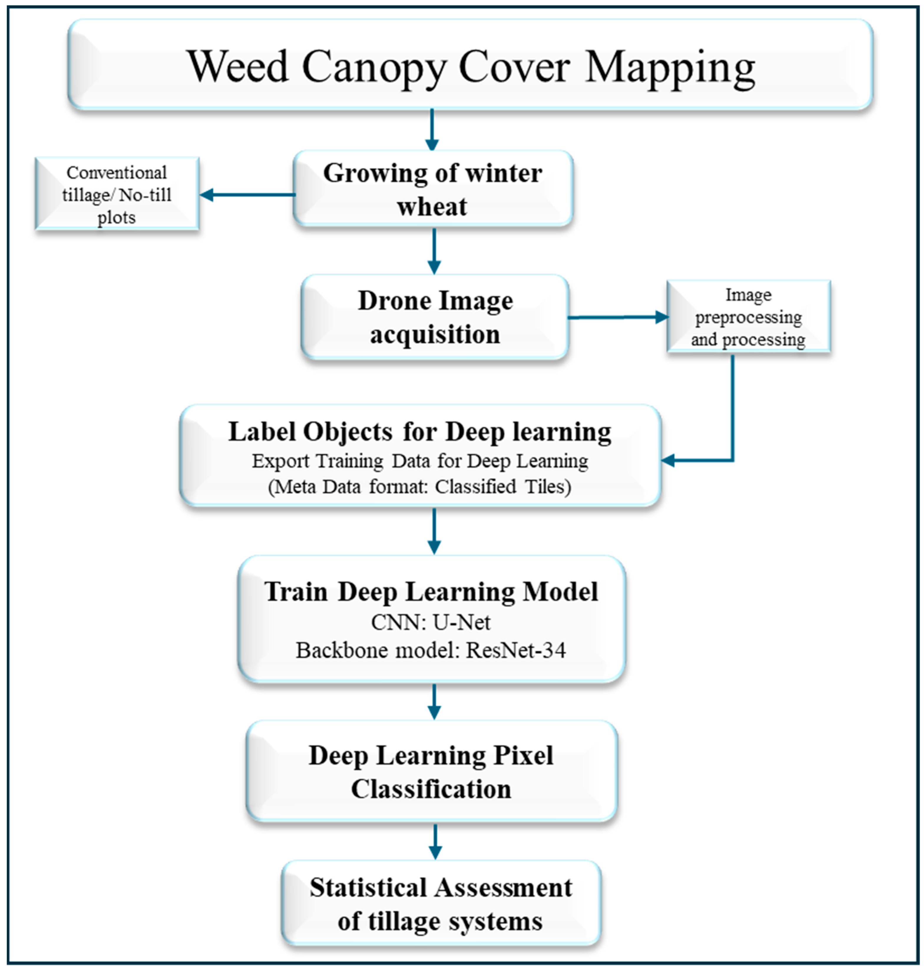 Agronomy 14 02706 g002