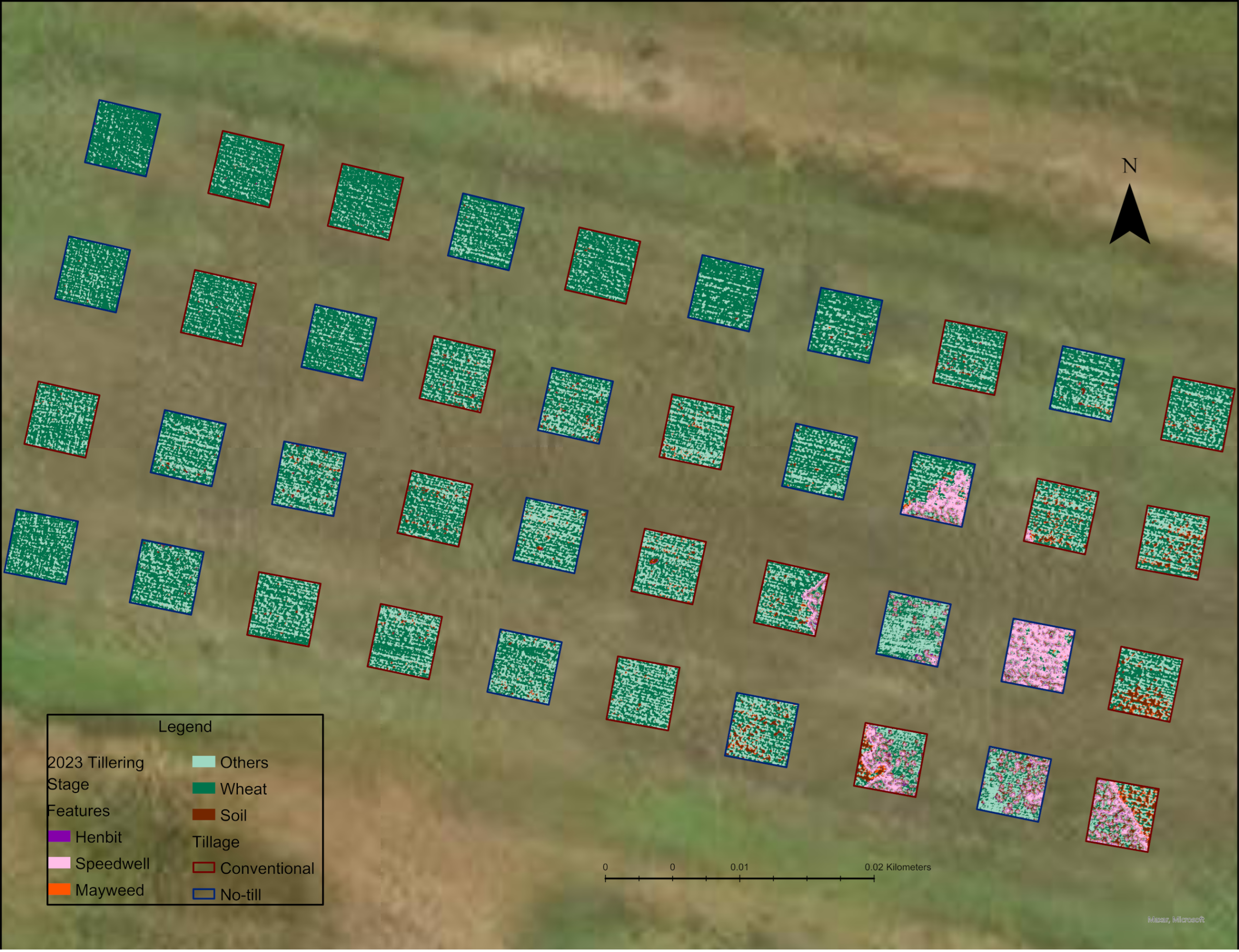 Agronomy 14 02706 g005