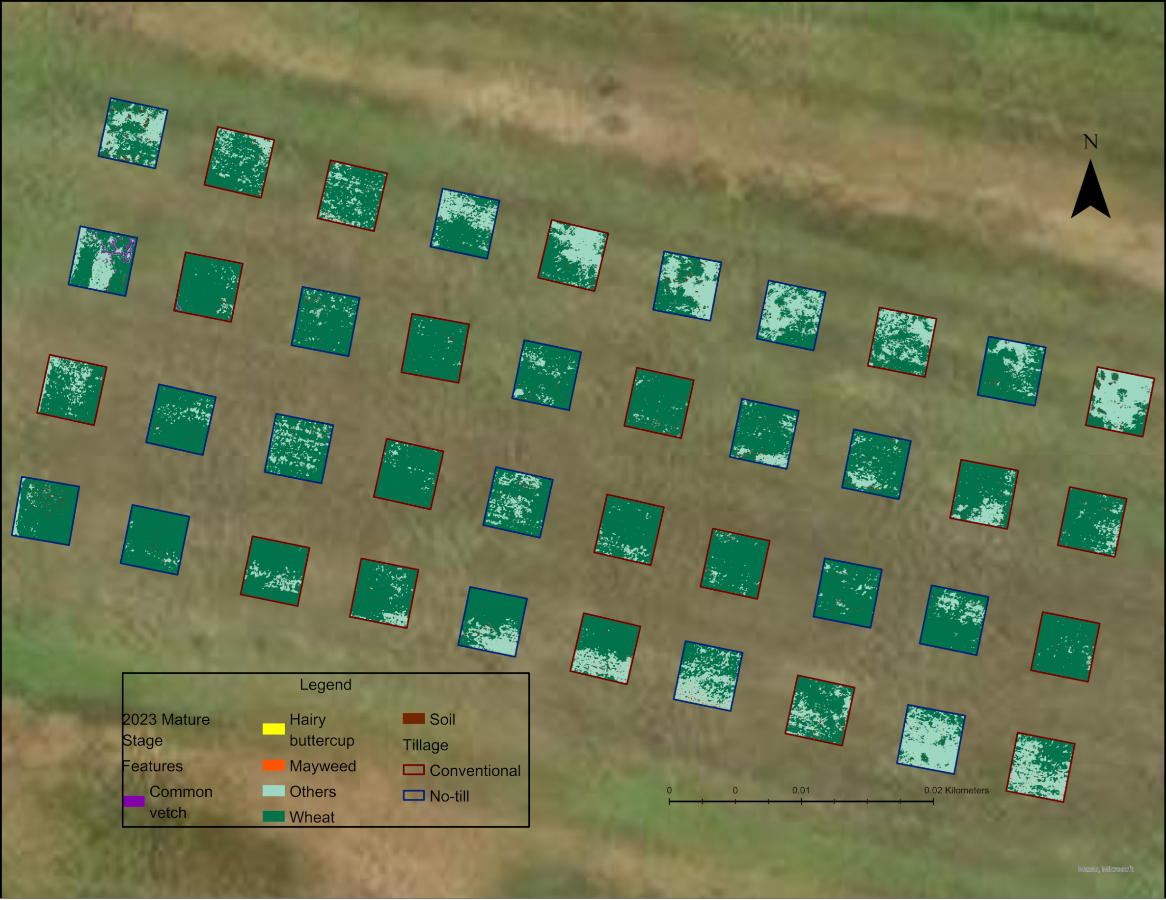 Agronomy 14 02706 g008