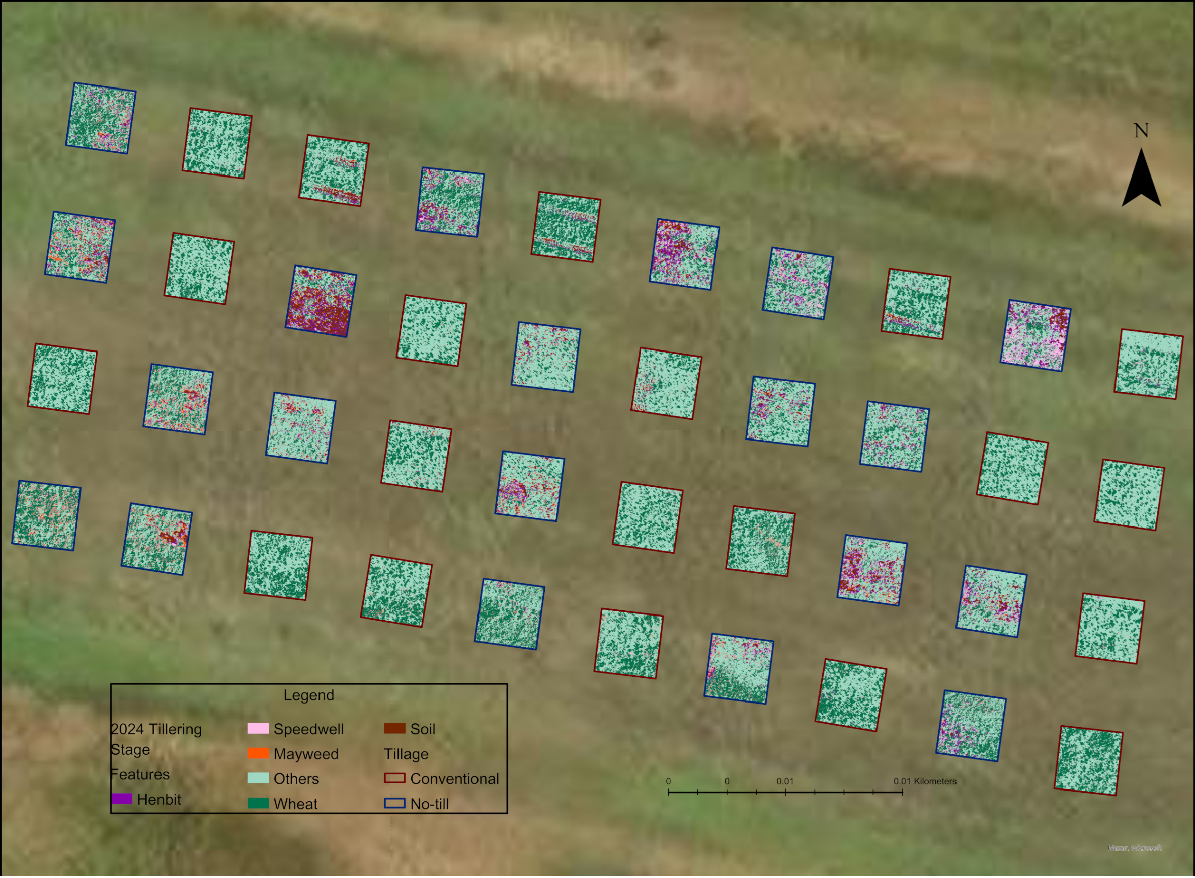 Agronomy 14 02706 g009