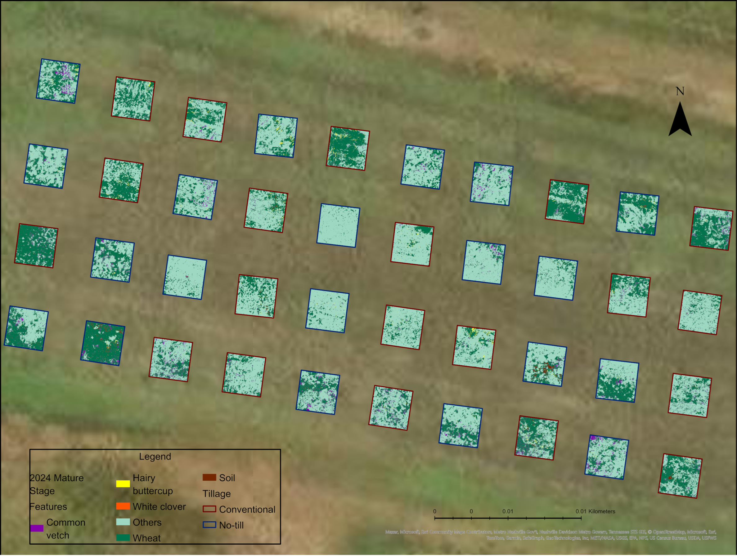 Agronomy 14 02706 g012