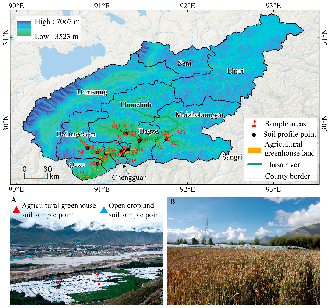 Agronomy 14 02708 g001