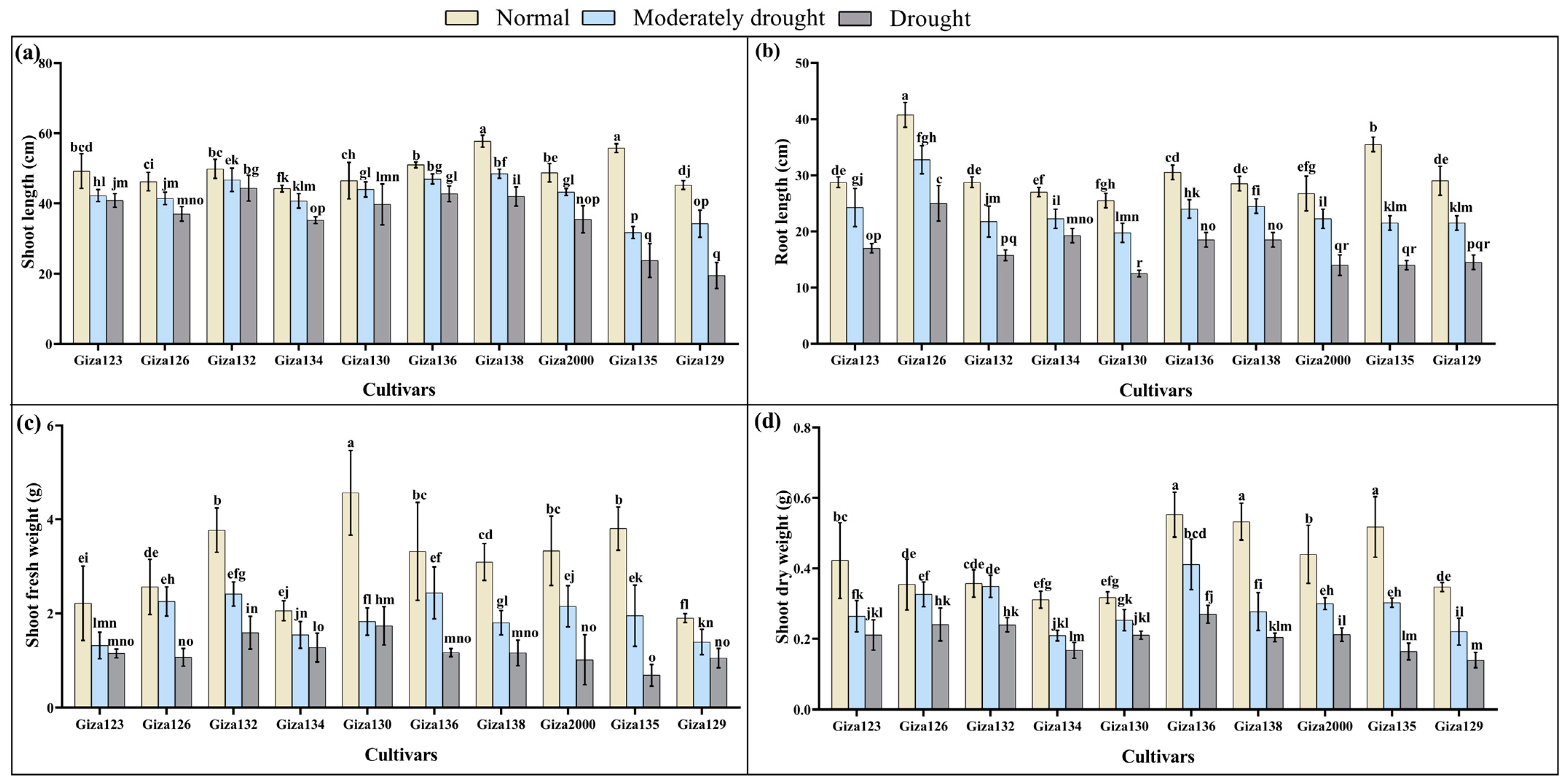 Agronomy 14 02711 g002