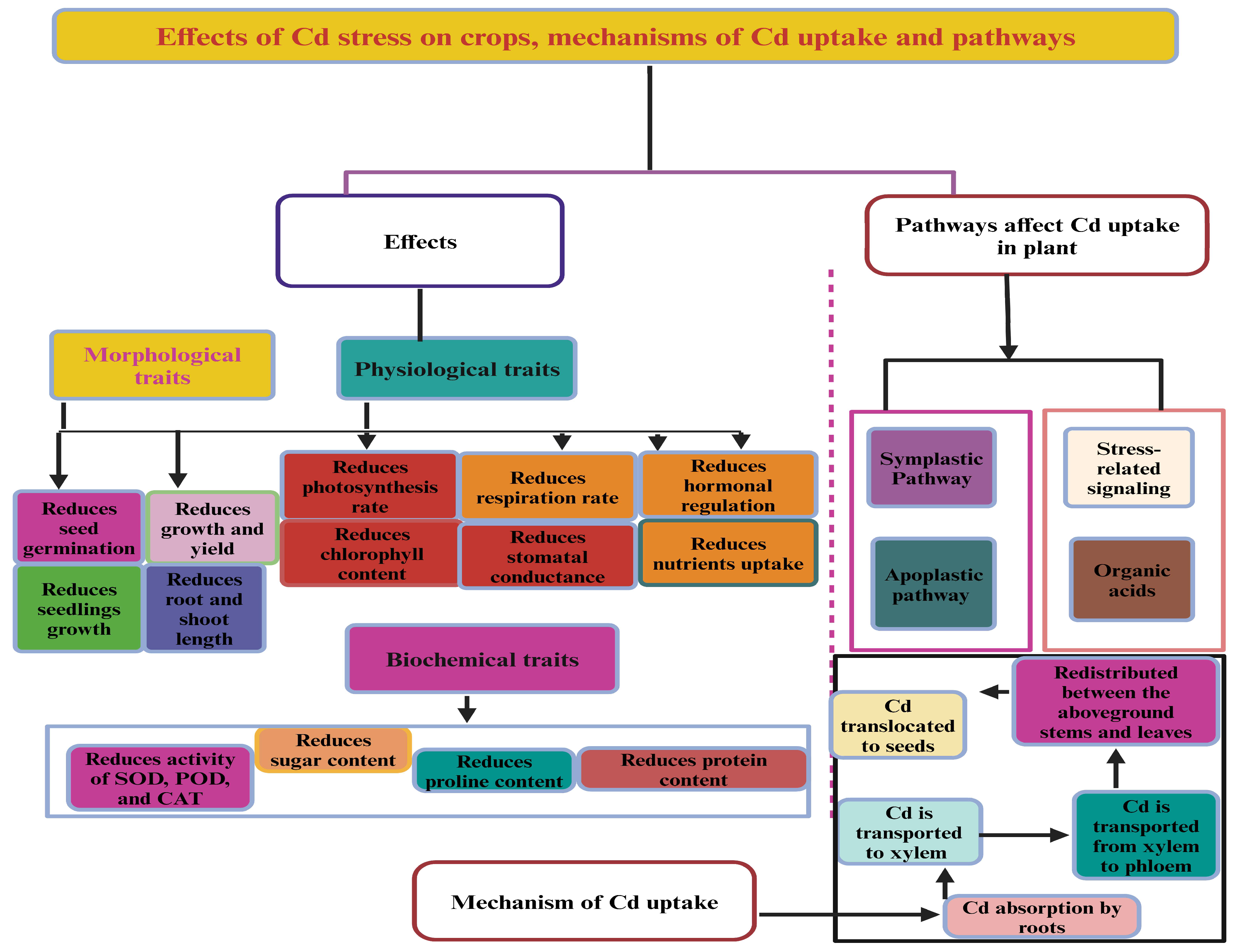 Agronomy 14 02713 g002