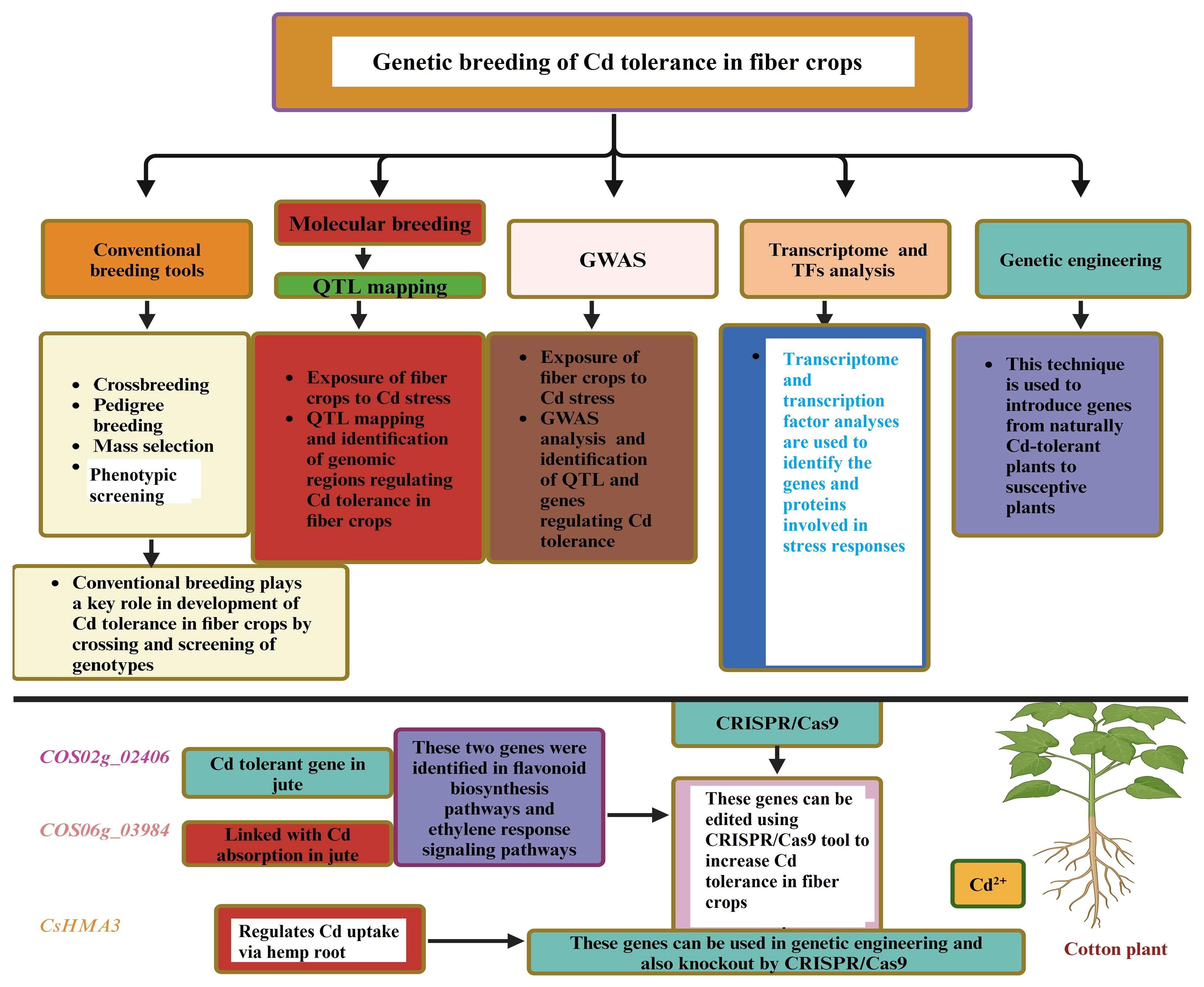 Agronomy 14 02713 g003