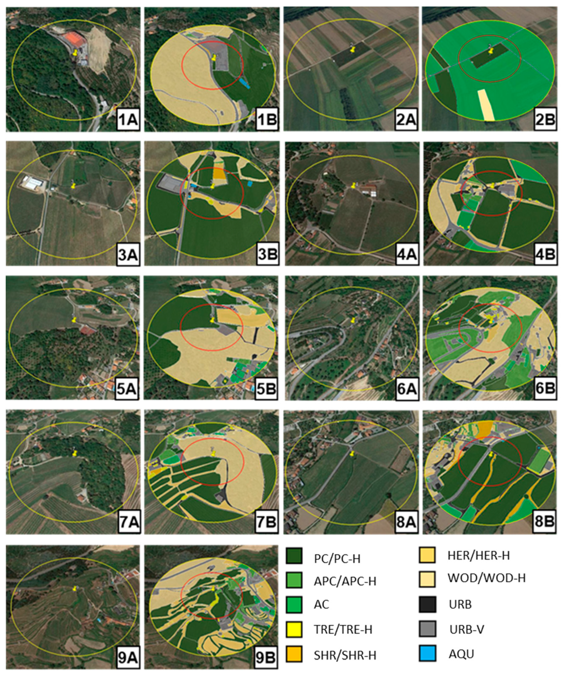 Agronomy 14 02714 g004