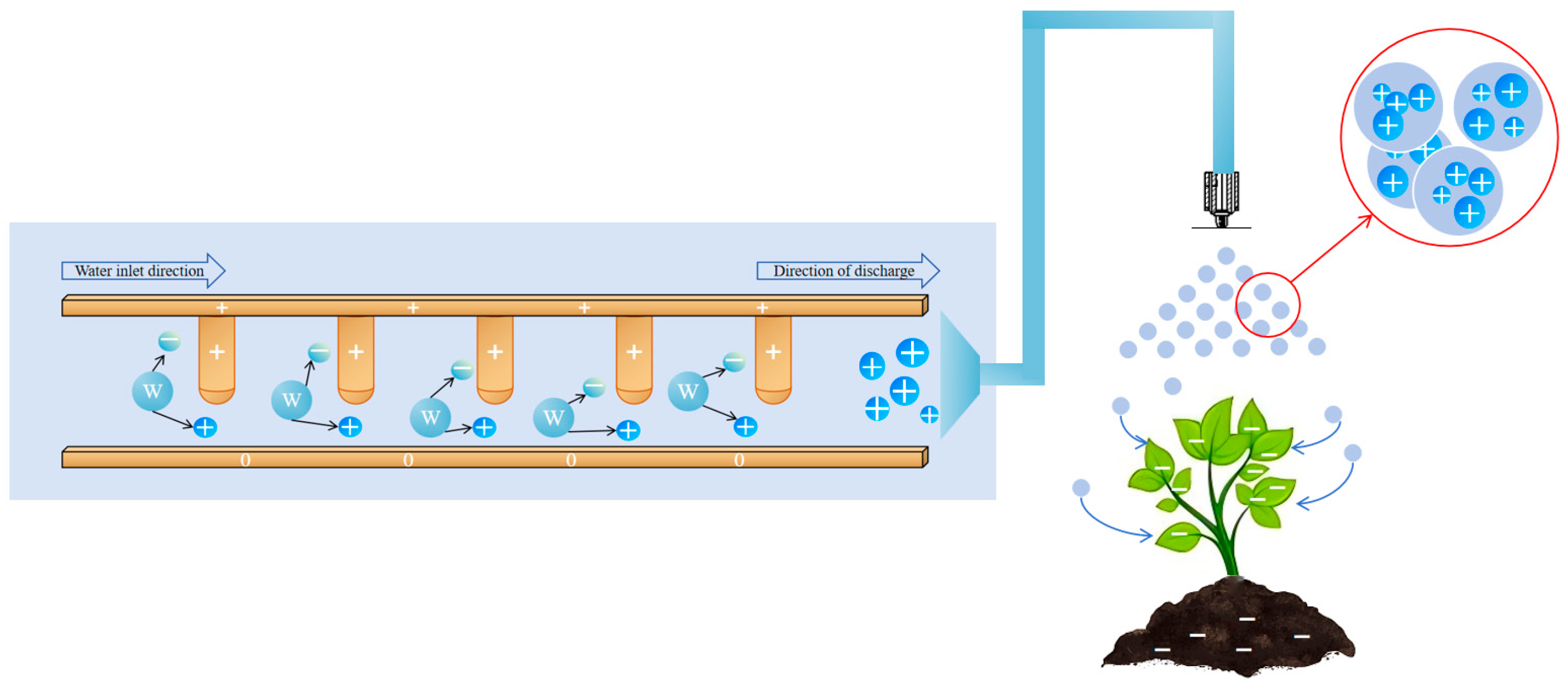 Agronomy 14 02715 g004