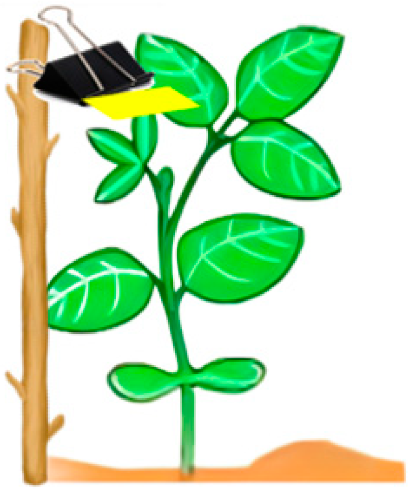 Agronomy 14 02715 g010