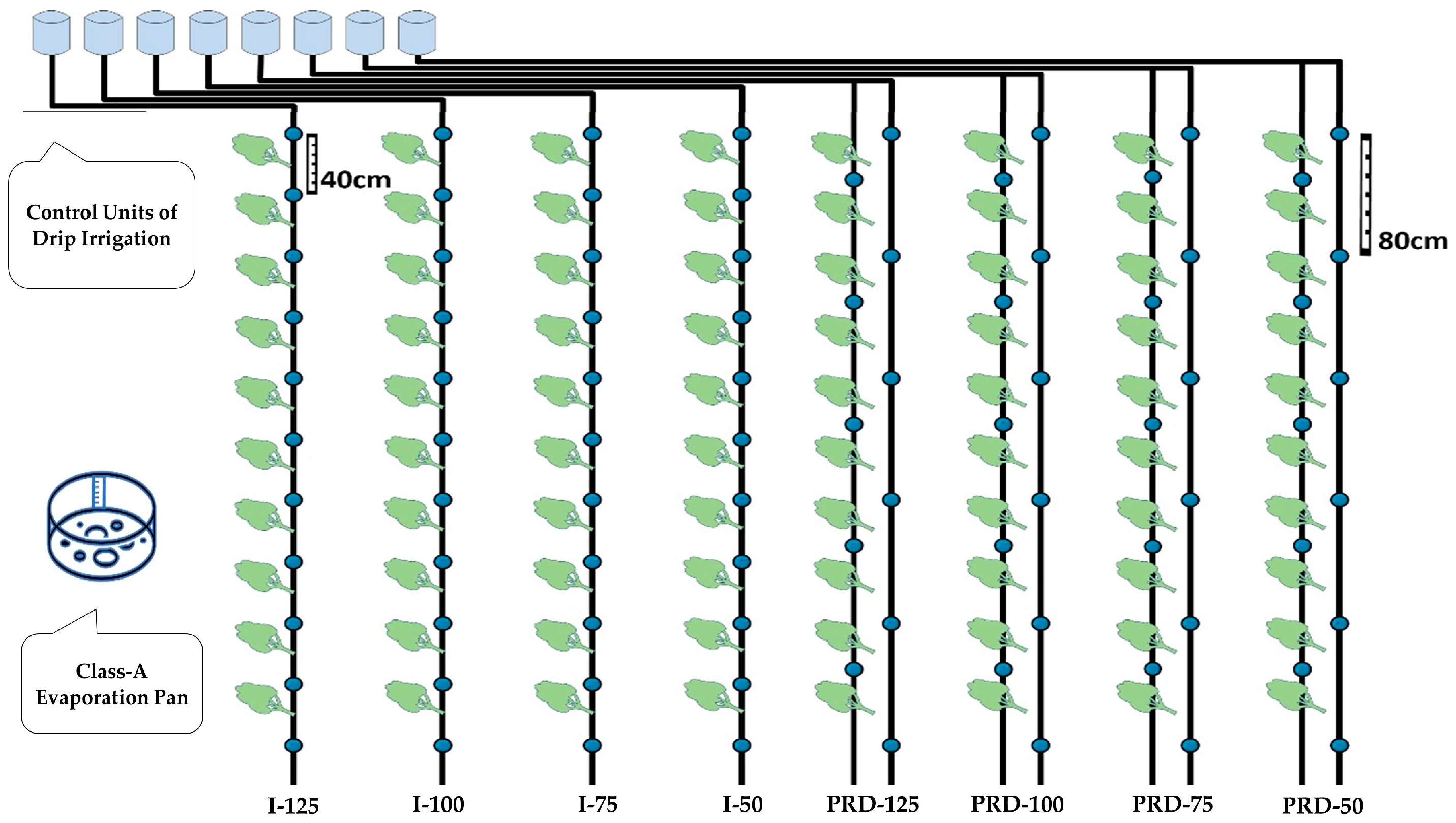 Agronomy 14 02721 g002