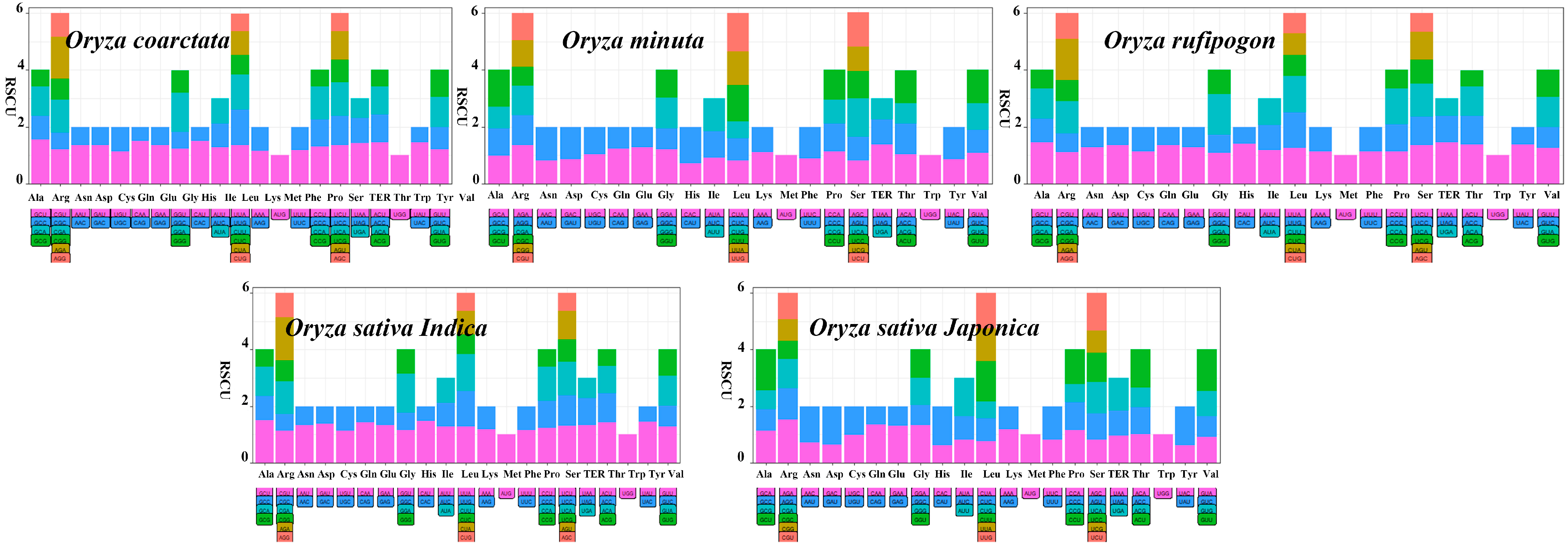 Agronomy 14 02722 g002