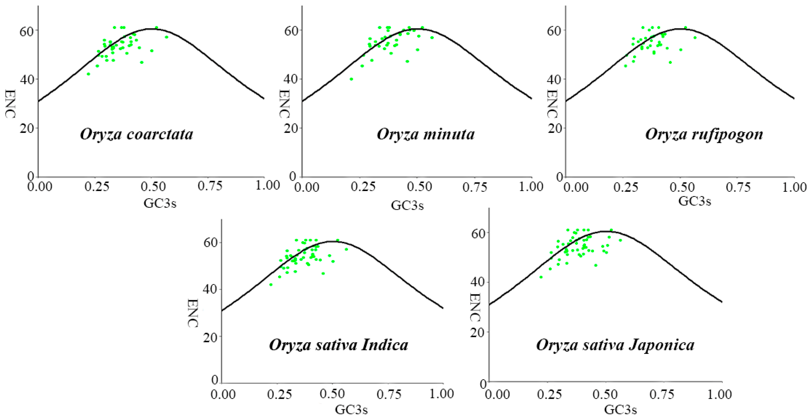 Agronomy 14 02722 g005