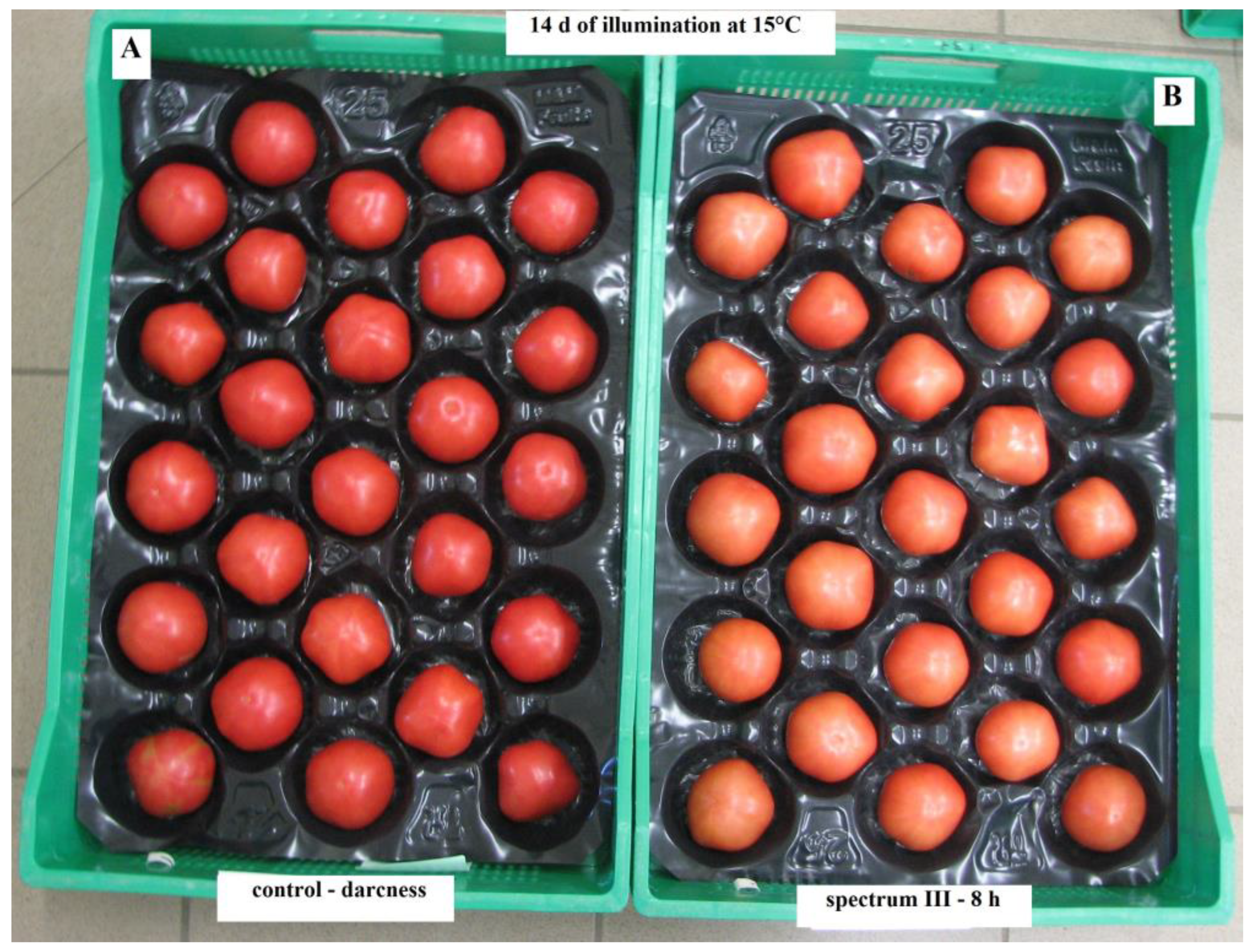 Agronomy 14 02727 g004