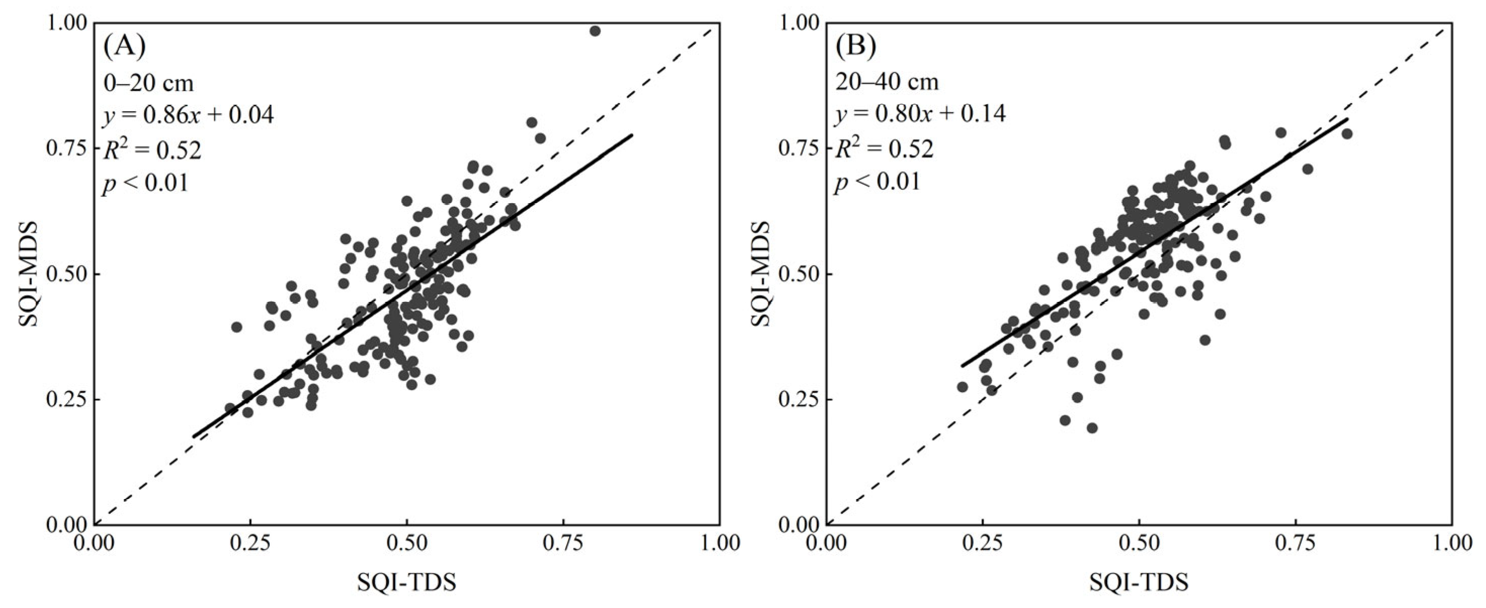 Agronomy 14 02728 g005