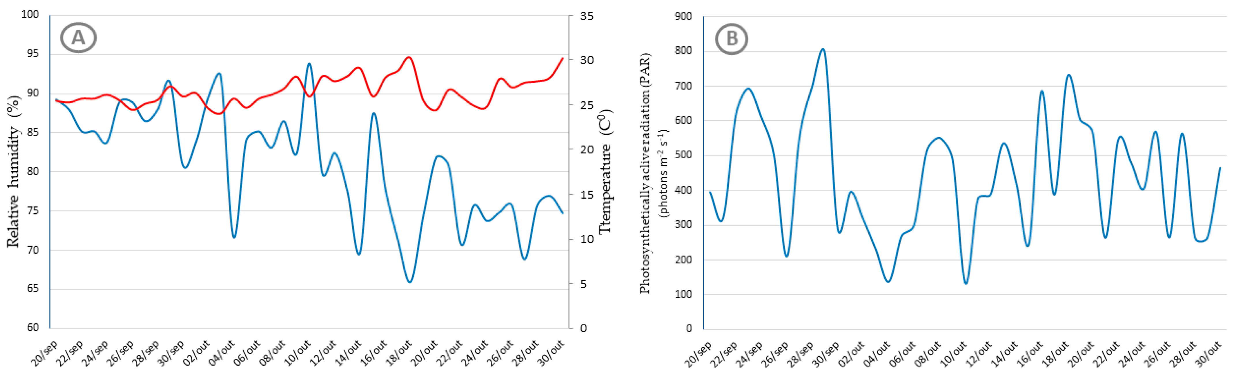 Agronomy 14 02730 g001