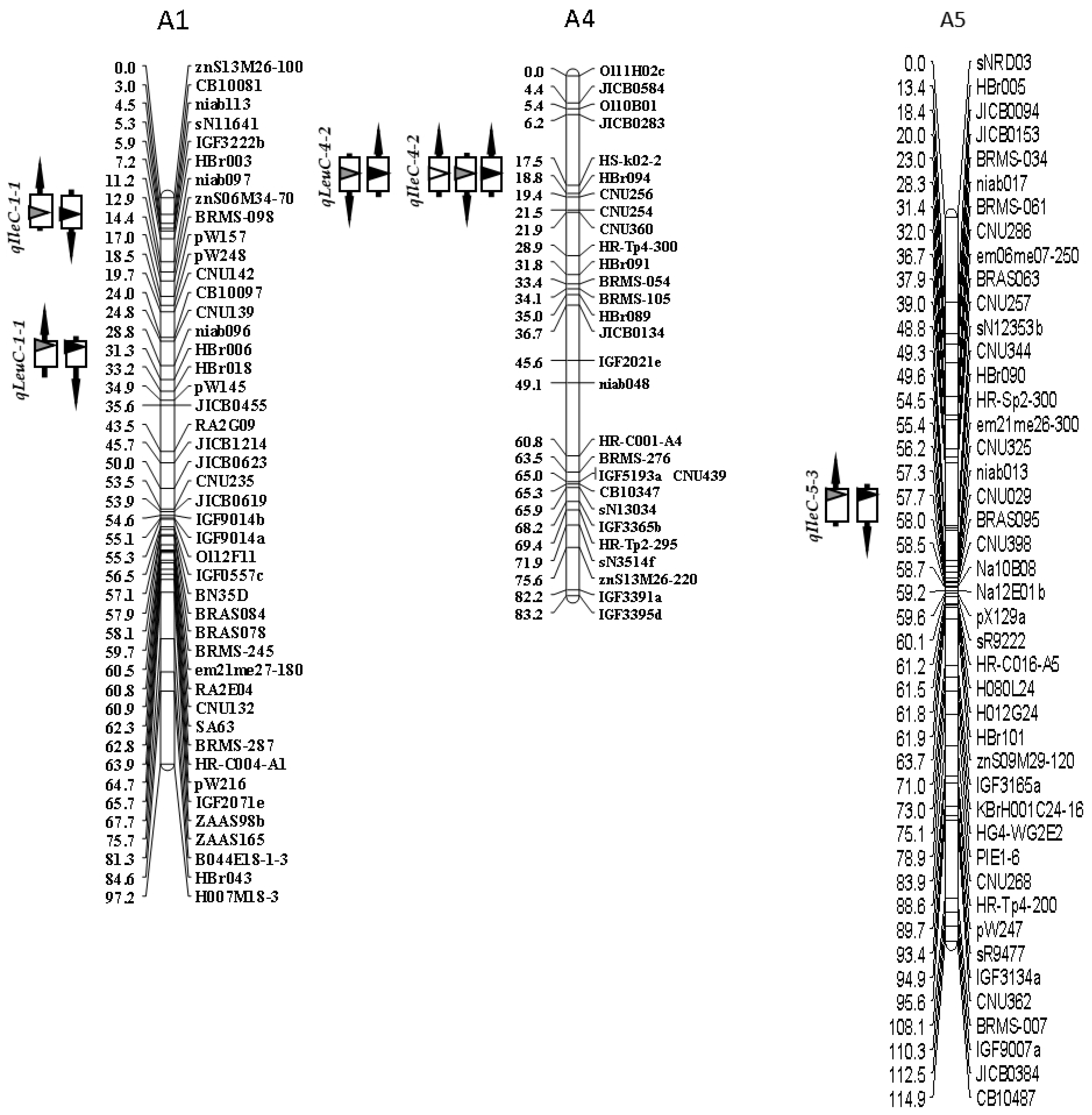Agronomy 14 02733 g002a