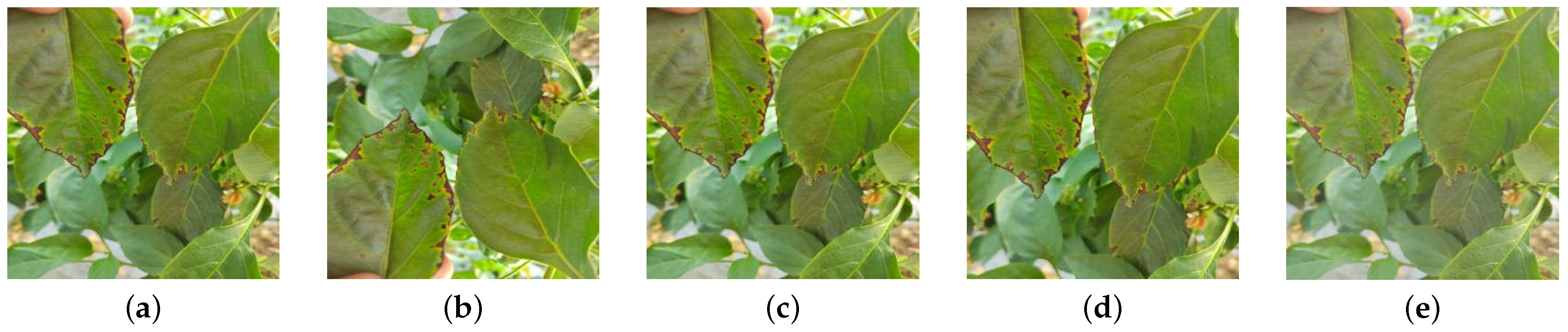 Agronomy 14 02734 g001