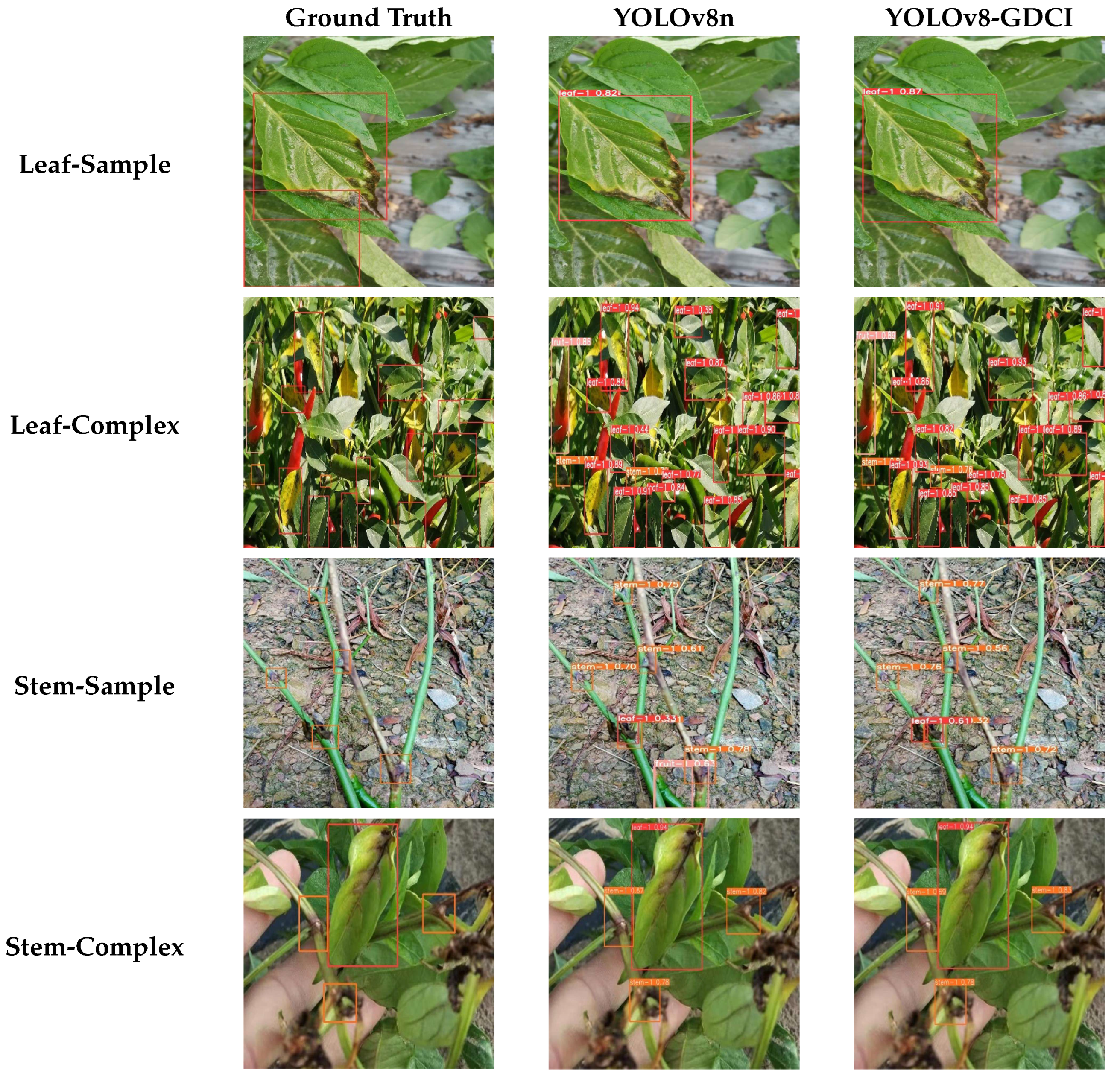 Agronomy 14 02734 g012a