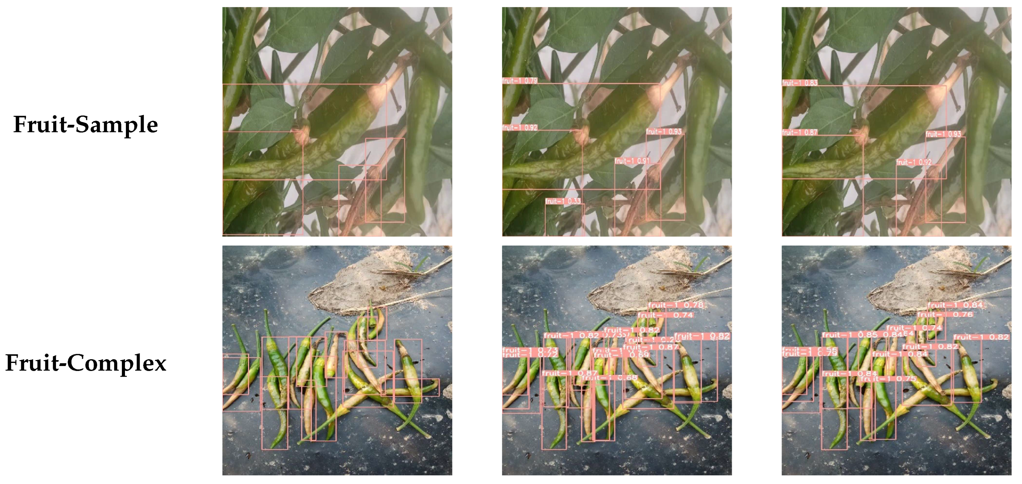 Agronomy 14 02734 g012b