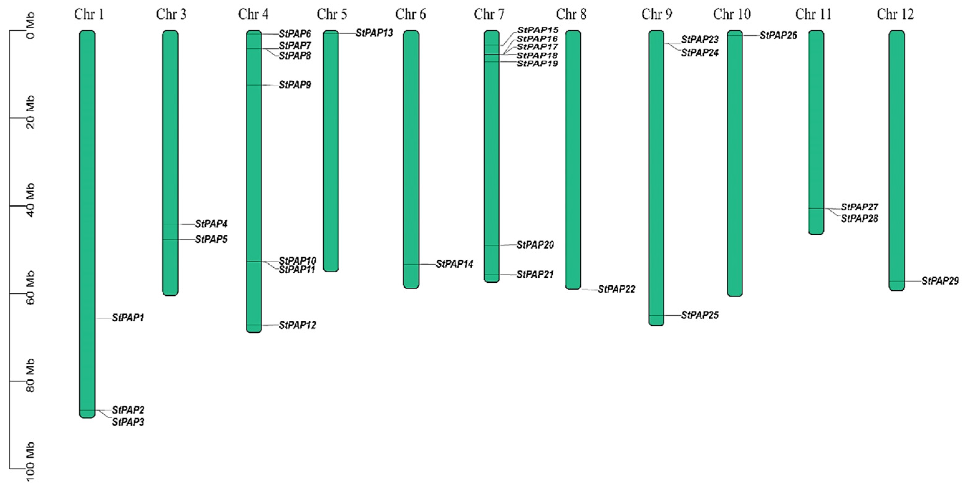 Agronomy 14 02735 g001
