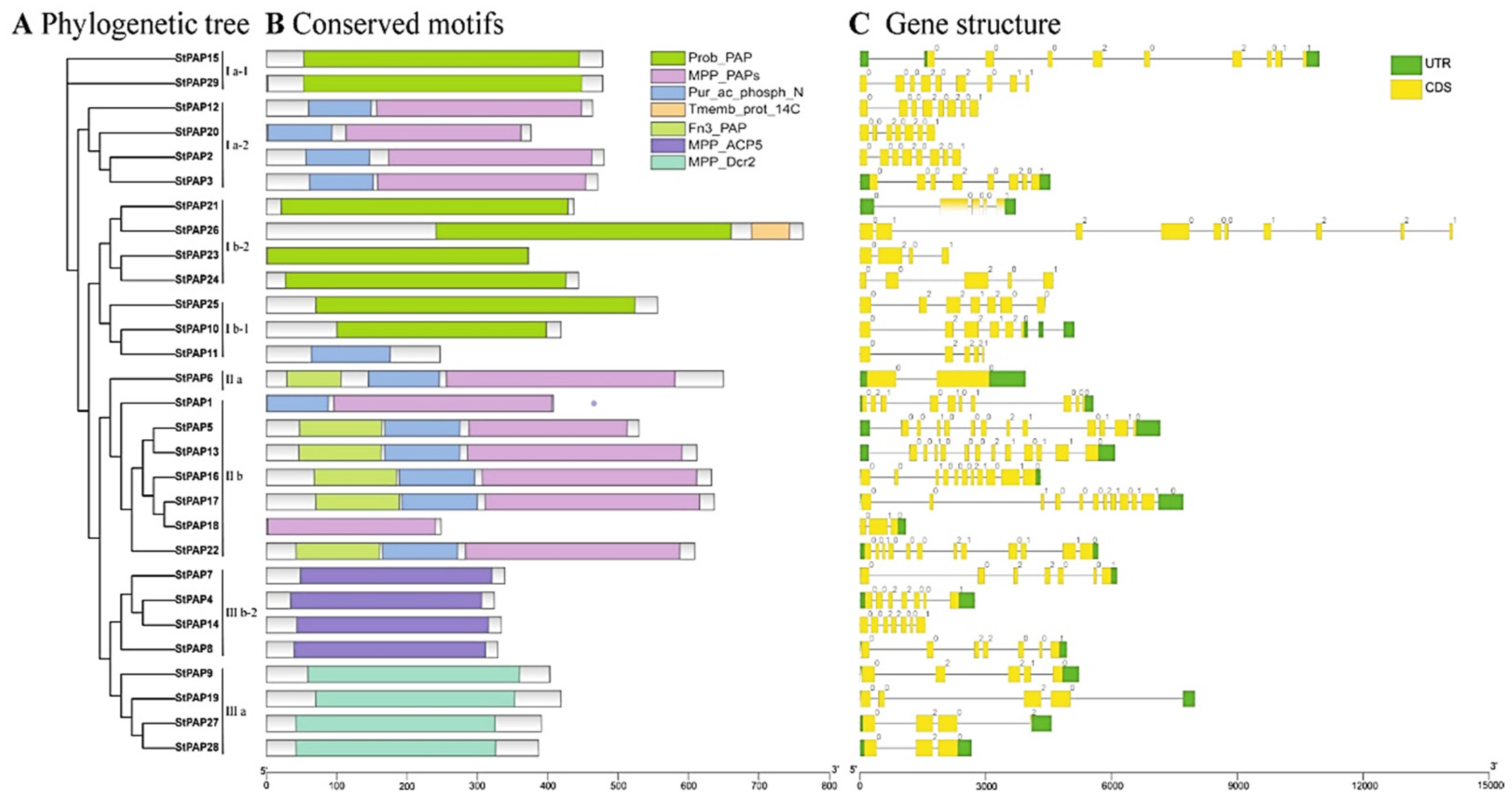 Agronomy 14 02735 g003