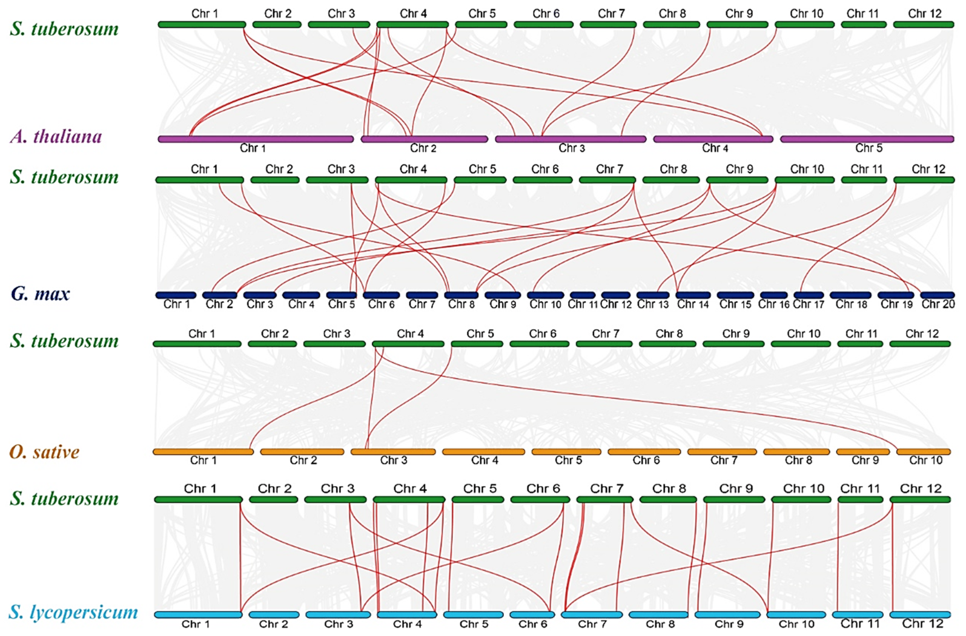 Agronomy 14 02735 g005